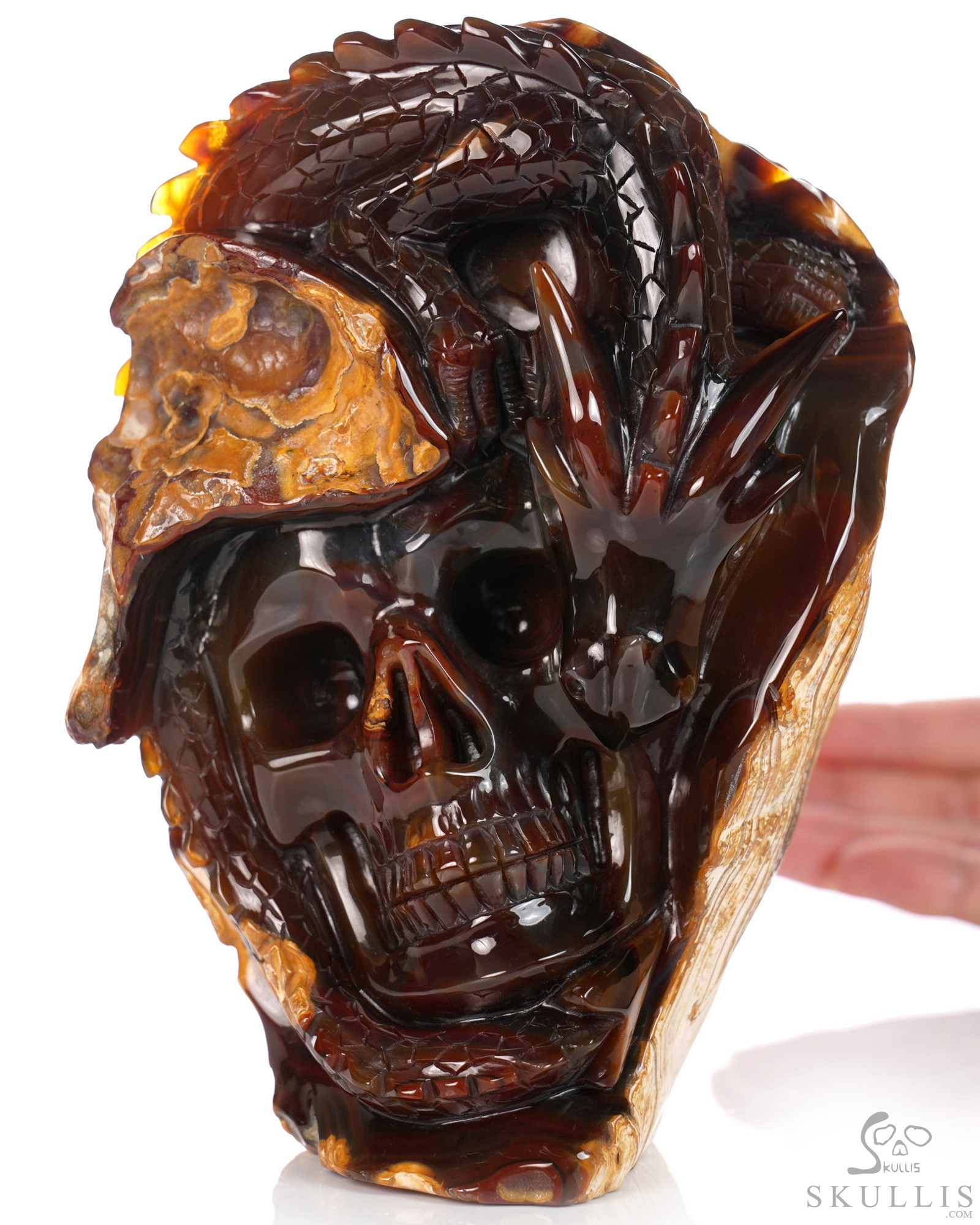July 10, 2026 ACSAD (A Crystal Skull a Day) - The Forgotten Flame - 6.3" Carved Carnelian Dragon And Crystal Skull Fine Art Sculpture, Crystal Healing July 10, 2026 ACSAD (A Crystal Skull a Day) - The Forgotten Flame - 6.3" Carved Carnelian Dragon And Crystal Skull Fine Art Sculpture, Crystal Healing