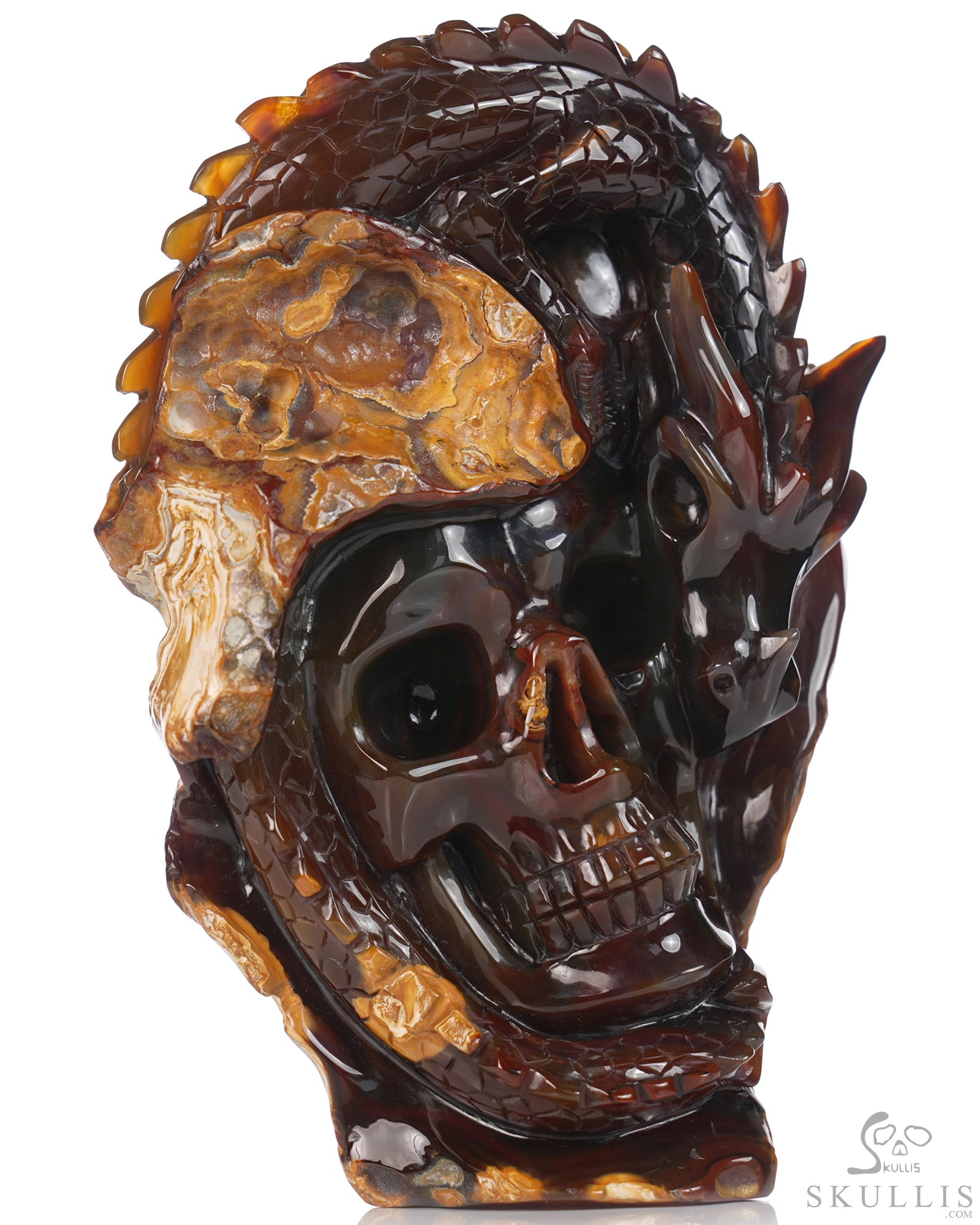 July 10, 2026 ACSAD (A Crystal Skull a Day) - The Forgotten Flame - 6.3" Carved Carnelian Dragon And Crystal Skull Fine Art Sculpture, Crystal Healing July 10, 2026 ACSAD (A Crystal Skull a Day) - The Forgotten Flame - 6.3" Carved Carnelian Dragon And Crystal Skull Fine Art Sculpture, Crystal Healing