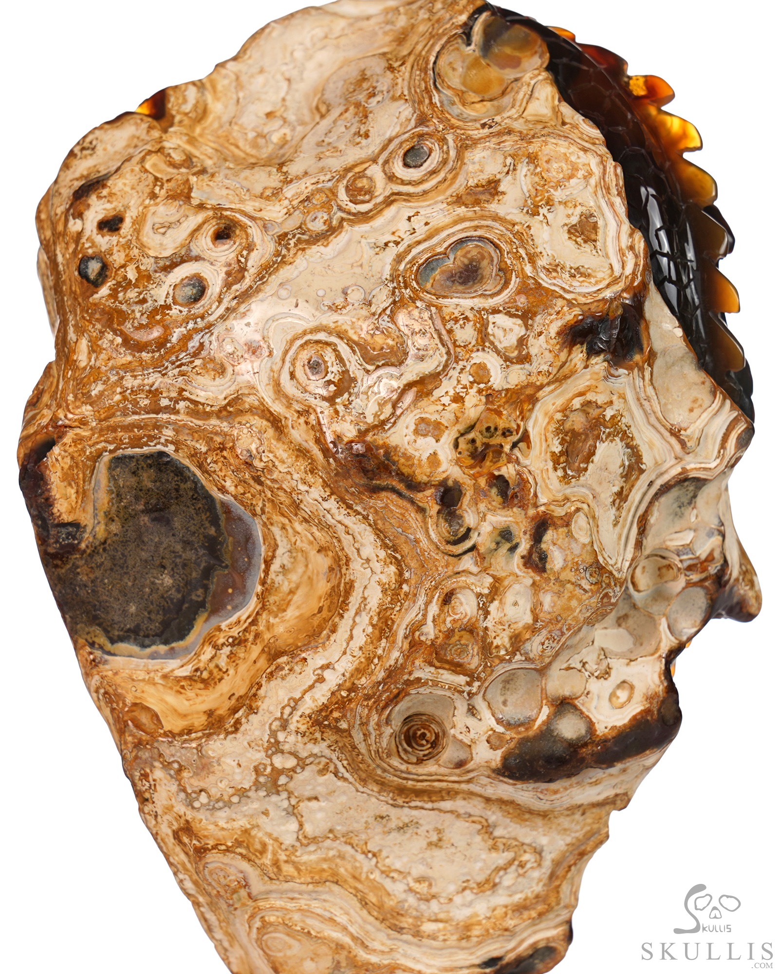 July 10, 2026 ACSAD (A Crystal Skull a Day) - The Forgotten Flame - 6.3" Carved Carnelian Dragon And Crystal Skull Fine Art Sculpture, Crystal Healing July 10, 2026 ACSAD (A Crystal Skull a Day) - The Forgotten Flame - 6.3" Carved Carnelian Dragon And Crystal Skull Fine Art Sculpture, Crystal Healing
