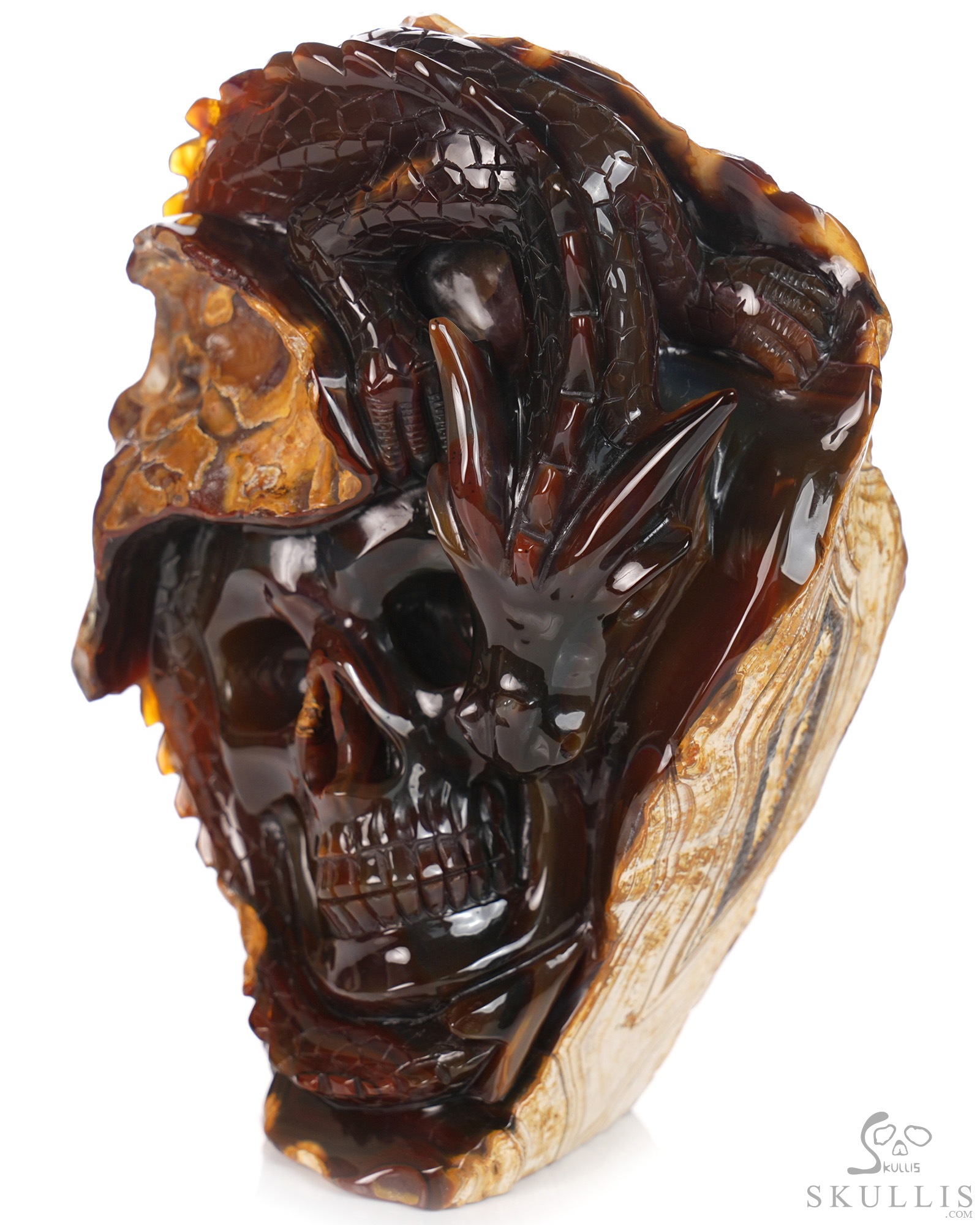July 10, 2026 ACSAD (A Crystal Skull a Day) - The Forgotten Flame - 6.3" Carved Carnelian Dragon And Crystal Skull Fine Art Sculpture, Crystal Healing July 10, 2026 ACSAD (A Crystal Skull a Day) - The Forgotten Flame - 6.3" Carved Carnelian Dragon And Crystal Skull Fine Art Sculpture, Crystal Healing
