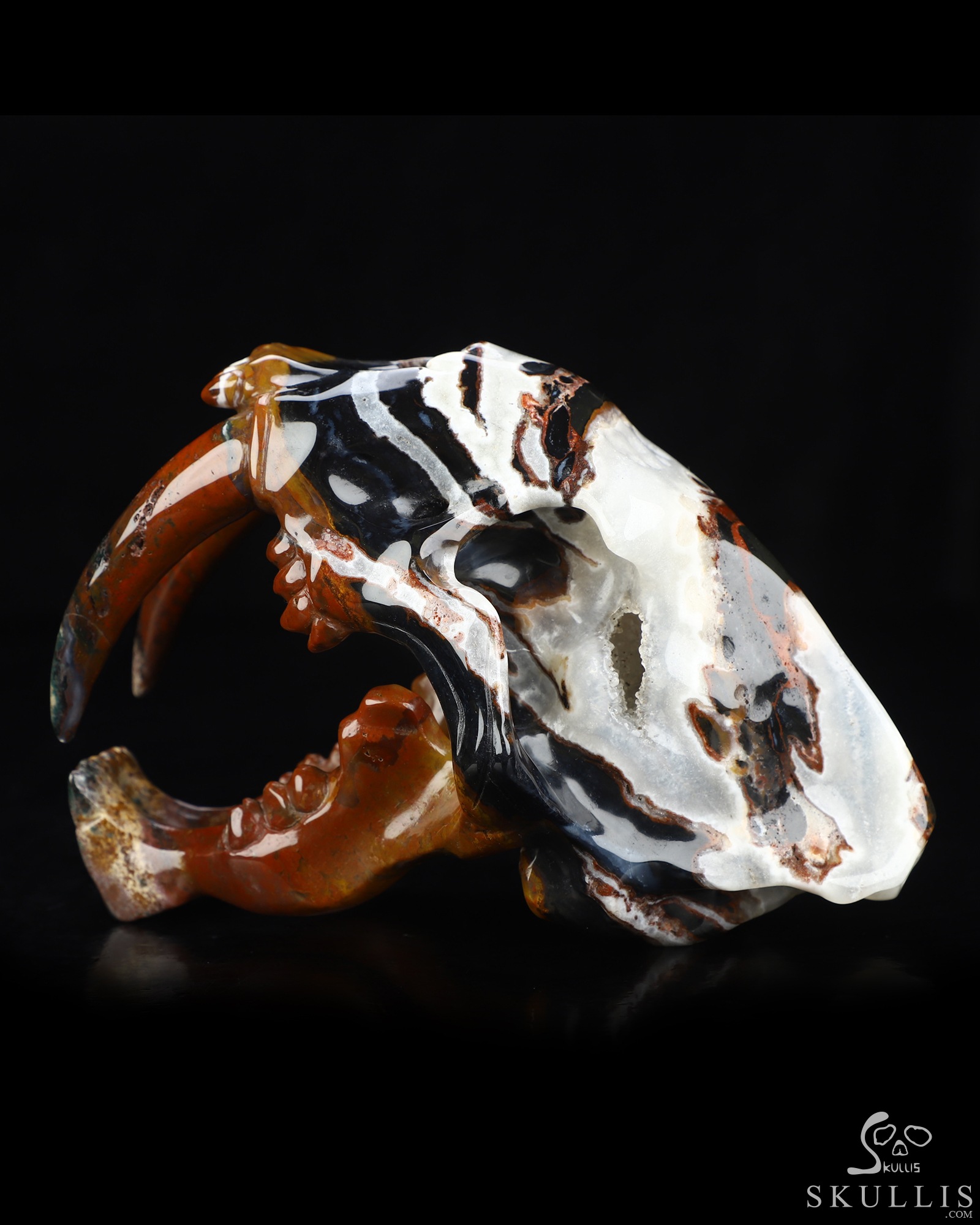 5.9" Black Zebra Agate Hand Carved Smilodon SABER-TOOTHED Tiger/Cat Skull, Crystal Healing 5.9" Black Zebra Agate Hand Carved Smilodon SABER-TOOTHED Tiger/Cat Skull, Crystal Healing