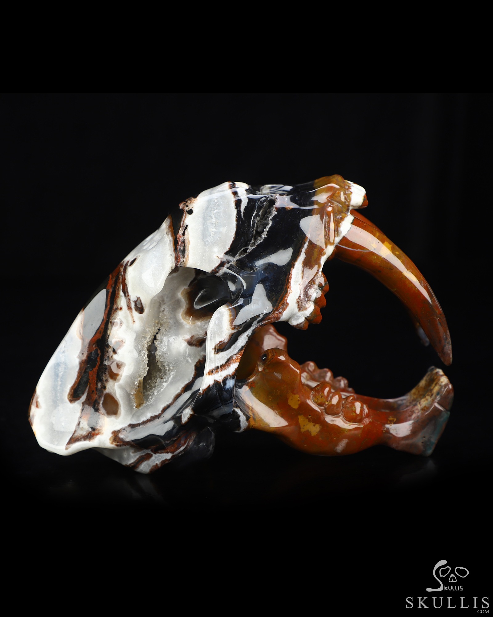 5.9" Black Zebra Agate Hand Carved Smilodon SABER-TOOTHED Tiger/Cat Skull, Crystal Healing 5.9" Black Zebra Agate Hand Carved Smilodon SABER-TOOTHED Tiger/Cat Skull, Crystal Healing