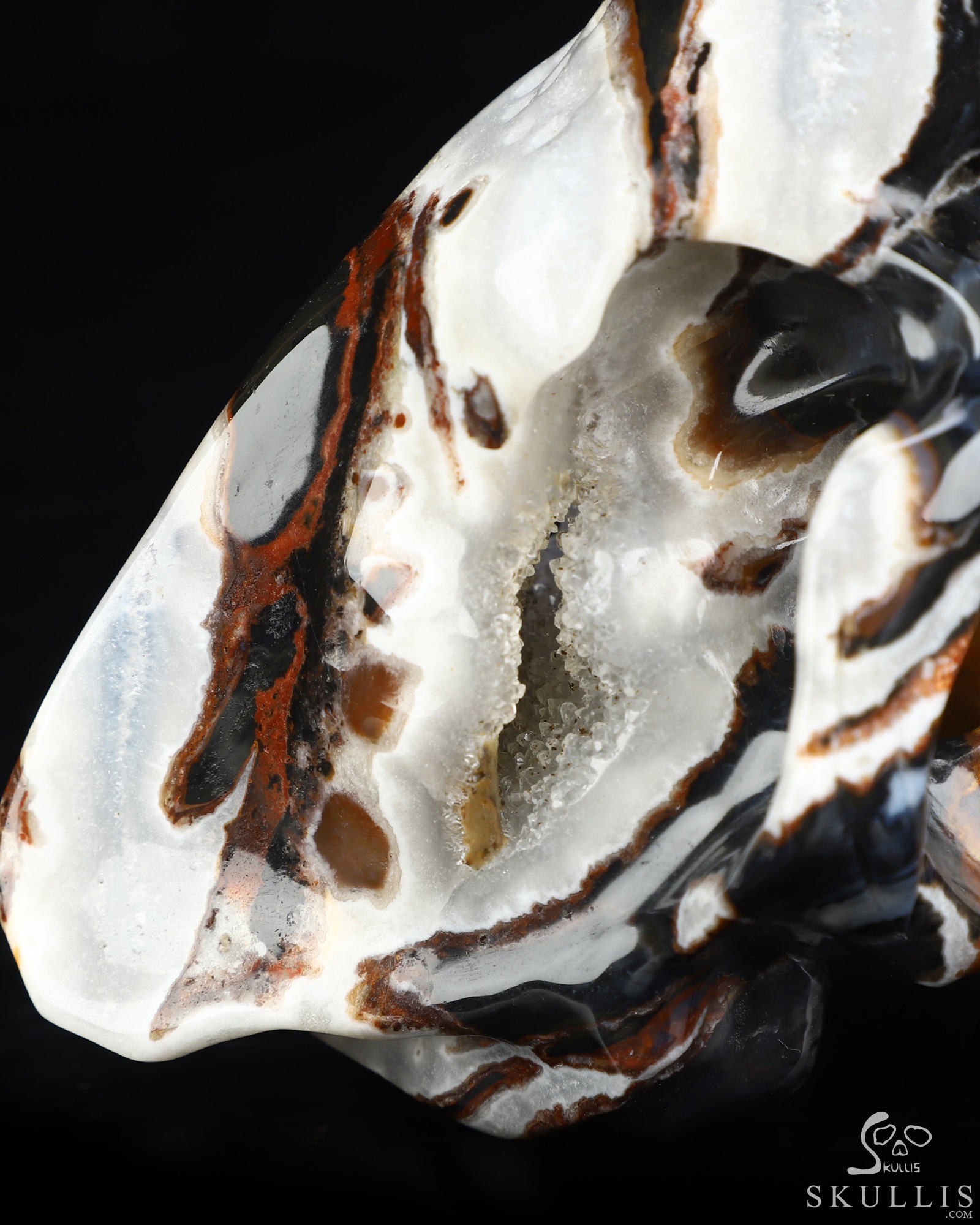 5.9" Black Zebra Agate Hand Carved Smilodon SABER-TOOTHED Tiger/Cat Skull, Crystal Healing 5.9" Black Zebra Agate Hand Carved Smilodon SABER-TOOTHED Tiger/Cat Skull, Crystal Healing