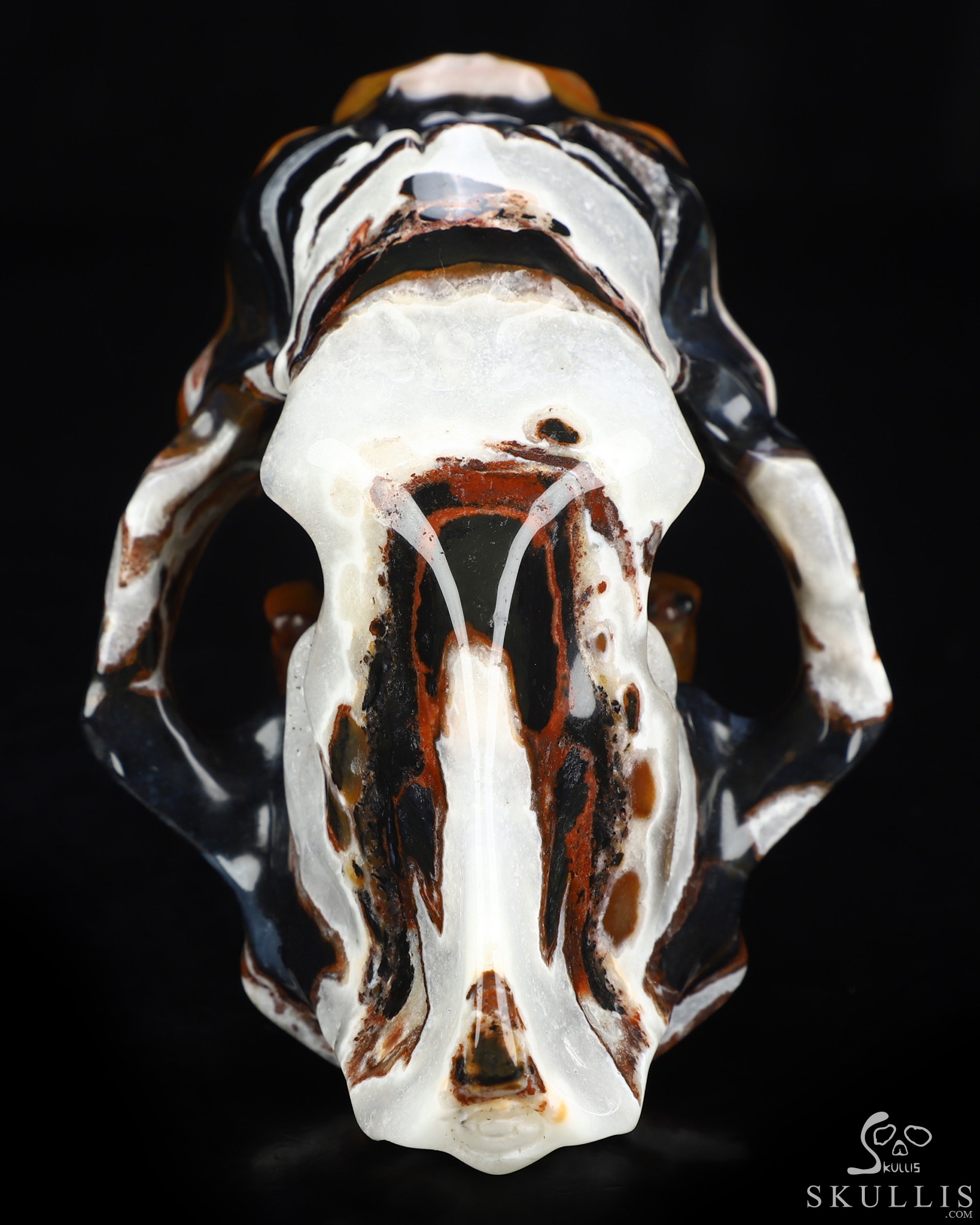 5.9" Black Zebra Agate Hand Carved Smilodon SABER-TOOTHED Tiger/Cat Skull, Crystal Healing 5.9" Black Zebra Agate Hand Carved Smilodon SABER-TOOTHED Tiger/Cat Skull, Crystal Healing