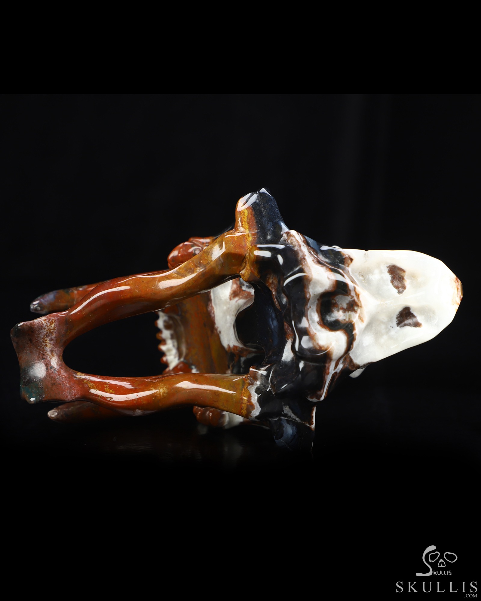 5.9" Black Zebra Agate Hand Carved Smilodon SABER-TOOTHED Tiger/Cat Skull, Crystal Healing 5.9" Black Zebra Agate Hand Carved Smilodon SABER-TOOTHED Tiger/Cat Skull, Crystal Healing