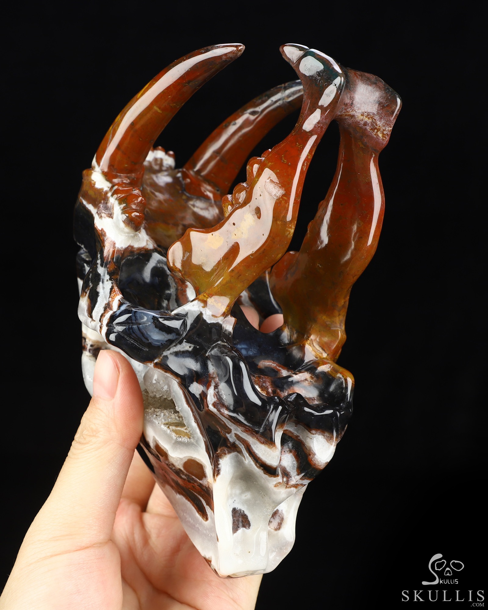 5.9" Black Zebra Agate Hand Carved Smilodon SABER-TOOTHED Tiger/Cat Skull, Crystal Healing 5.9" Black Zebra Agate Hand Carved Smilodon SABER-TOOTHED Tiger/Cat Skull, Crystal Healing
