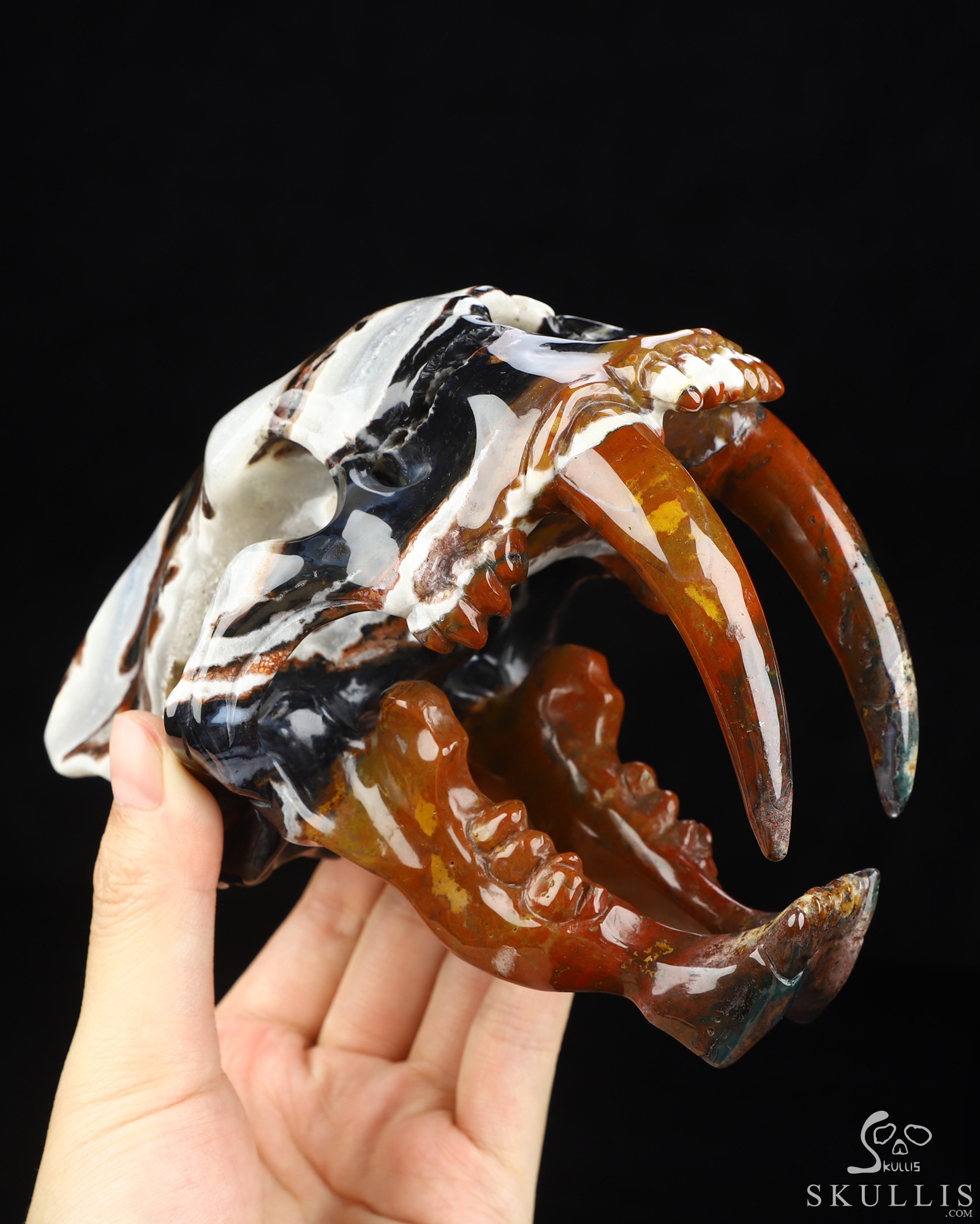 5.9" Black Zebra Agate Hand Carved Smilodon SABER-TOOTHED Tiger/Cat Skull, Crystal Healing 5.9" Black Zebra Agate Hand Carved Smilodon SABER-TOOTHED Tiger/Cat Skull, Crystal Healing