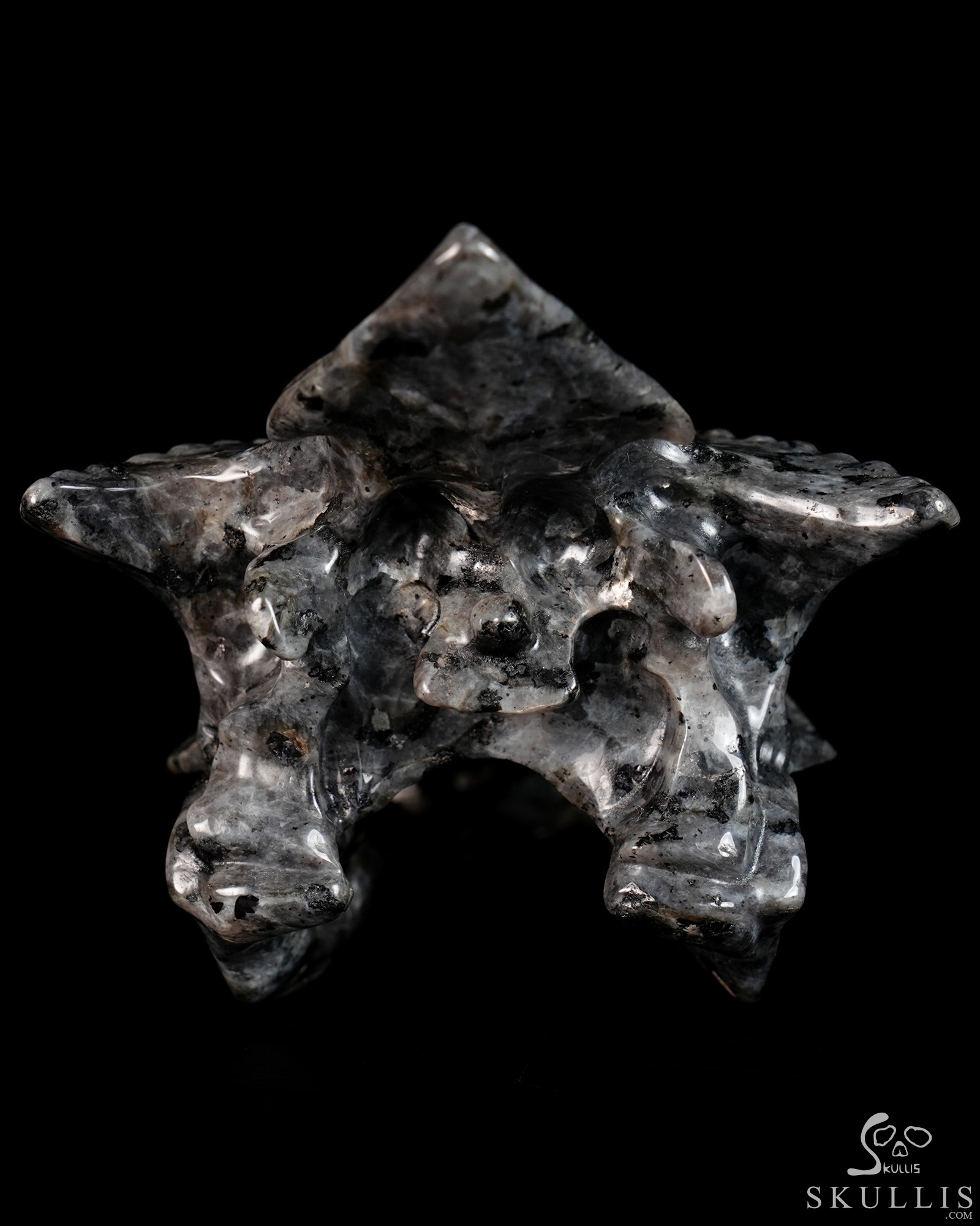 4.5" Larvikite Hand Carved Crystal Pterodactyl Skull Fine Art Sculpture, Crystal Healing 4.5" Larvikite Hand Carved Crystal Pterodactyl Skull Fine Art Sculpture, Crystal Healing