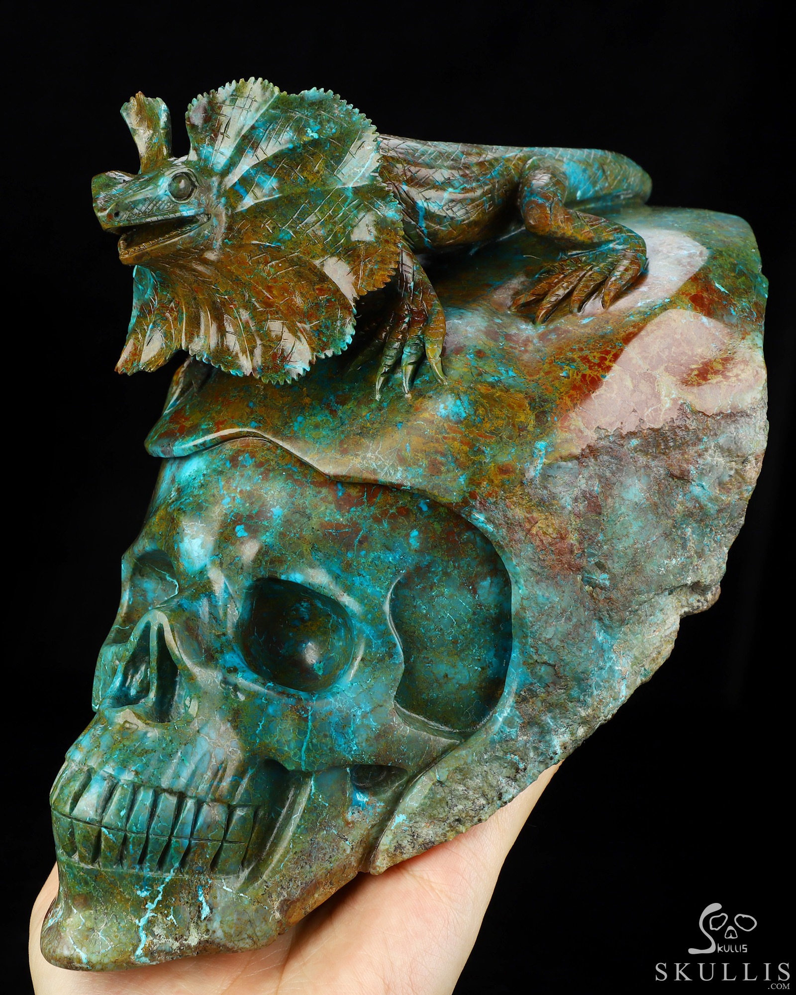 July 23, 2026 ACSAD (A Crystal Skull a Day) - Oasis of the Forgotten Sun - 9.0" Carved Gemstone Chrysocolla Frilled Lizard Crystal Skull Fine Art Sculpture, Crystal Healing July 23, 2026 ACSAD (A Crystal Skull a Day) - Oasis of the Forgotten Sun - 9.0" Carved Gemstone Chrysocolla Frilled Lizard Crystal Skull Fine Art Sculpture, Crystal Healing