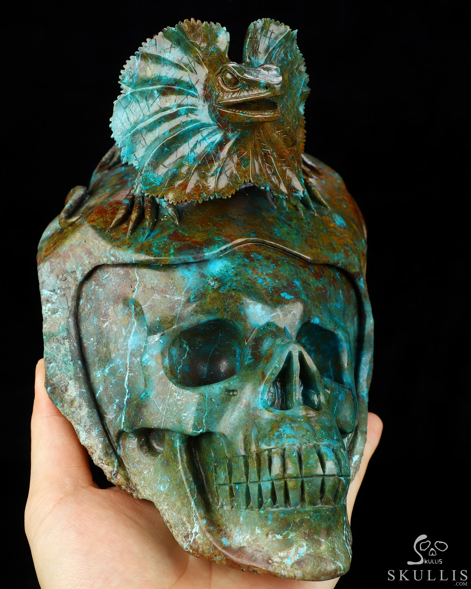 July 23, 2026 ACSAD (A Crystal Skull a Day) - Oasis of the Forgotten Sun - 9.0" Carved Gemstone Chrysocolla Frilled Lizard Crystal Skull Fine Art Sculpture, Crystal Healing July 23, 2026 ACSAD (A Crystal Skull a Day) - Oasis of the Forgotten Sun - 9.0" Carved Gemstone Chrysocolla Frilled Lizard Crystal Skull Fine Art Sculpture, Crystal Healing