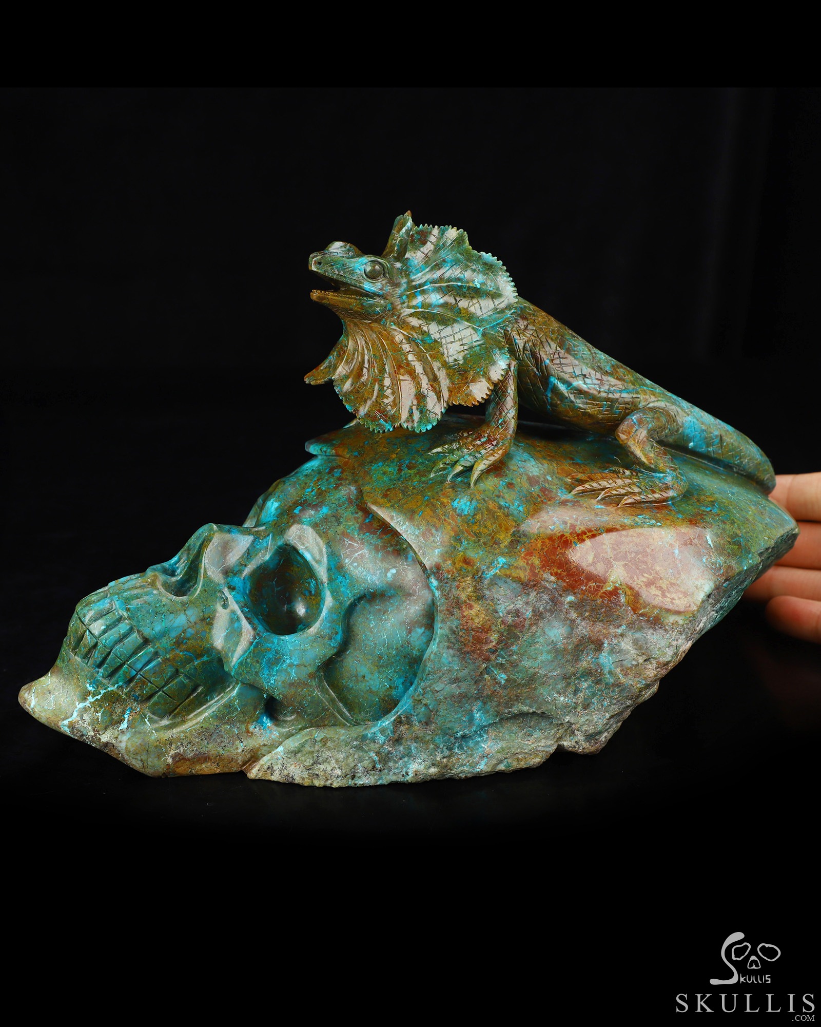 July 23, 2026 ACSAD (A Crystal Skull a Day) - Oasis of the Forgotten Sun - 9.0" Carved Gemstone Chrysocolla Frilled Lizard Crystal Skull Fine Art Sculpture, Crystal Healing July 23, 2026 ACSAD (A Crystal Skull a Day) - Oasis of the Forgotten Sun - 9.0" Carved Gemstone Chrysocolla Frilled Lizard Crystal Skull Fine Art Sculpture, Crystal Healing