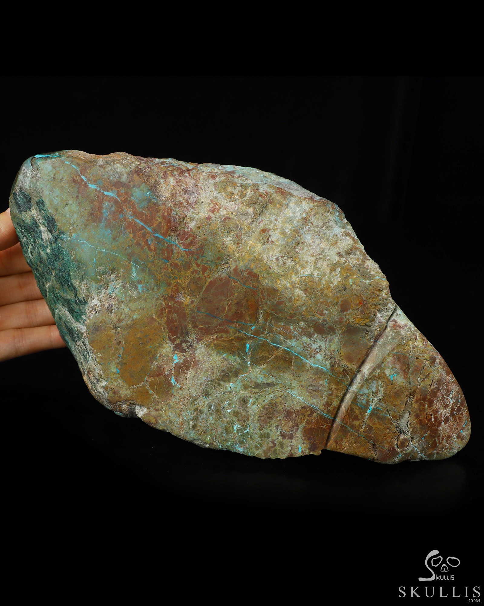 July 23, 2026 ACSAD (A Crystal Skull a Day) - Oasis of the Forgotten Sun - 9.0" Carved Gemstone Chrysocolla Frilled Lizard Crystal Skull Fine Art Sculpture, Crystal Healing July 23, 2026 ACSAD (A Crystal Skull a Day) - Oasis of the Forgotten Sun - 9.0" Carved Gemstone Chrysocolla Frilled Lizard Crystal Skull Fine Art Sculpture, Crystal Healing