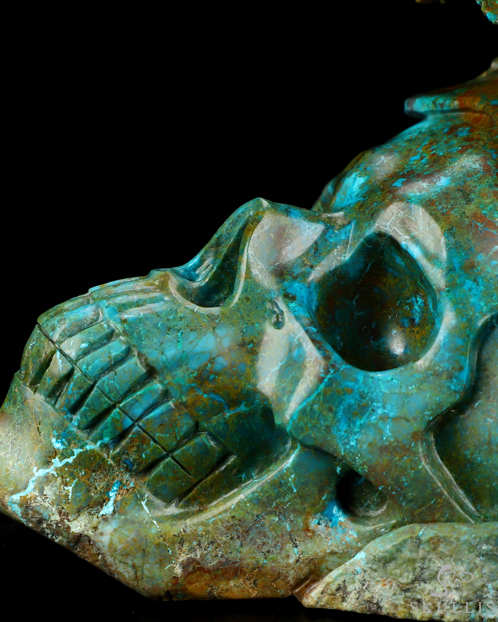 July 23, 2026 ACSAD (A Crystal Skull a Day) - Oasis of the Forgotten Sun - 9.0" Carved Gemstone Chrysocolla Frilled Lizard Crystal Skull Fine Art Sculpture, Crystal Healing July 23, 2026 ACSAD (A Crystal Skull a Day) - Oasis of the Forgotten Sun - 9.0" Carved Gemstone Chrysocolla Frilled Lizard Crystal Skull Fine Art Sculpture, Crystal Healing