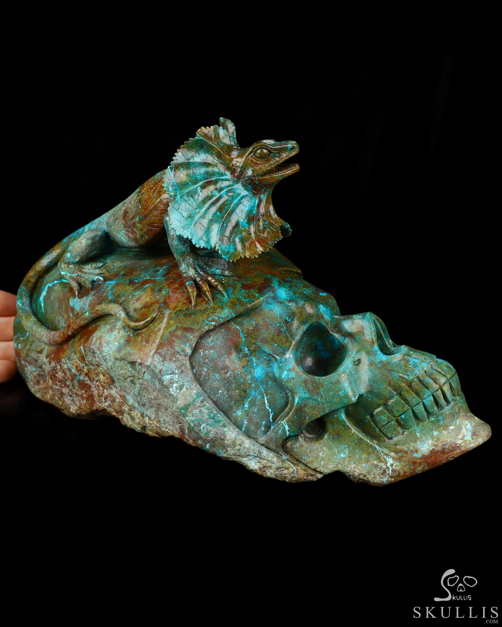 July 23, 2026 ACSAD (A Crystal Skull a Day) - Oasis of the Forgotten Sun - 9.0" Carved Gemstone Chrysocolla Frilled Lizard Crystal Skull Fine Art Sculpture, Crystal Healing July 23, 2026 ACSAD (A Crystal Skull a Day) - Oasis of the Forgotten Sun - 9.0" Carved Gemstone Chrysocolla Frilled Lizard Crystal Skull Fine Art Sculpture, Crystal Healing