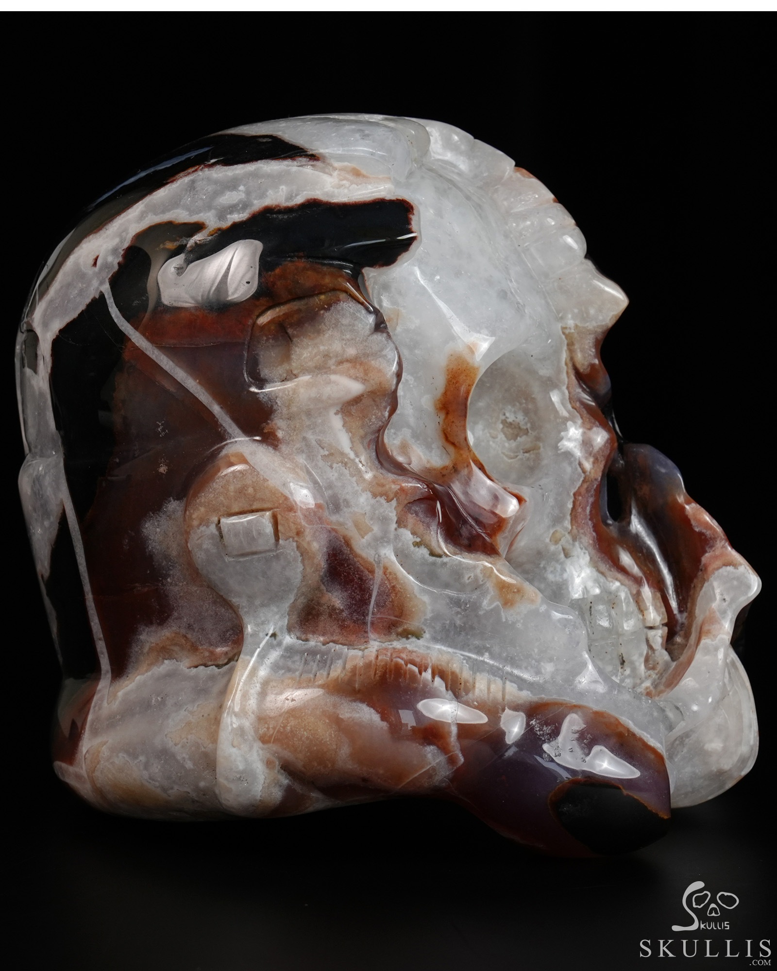 Storm Troopers - 4.8" Black Zebra Agate Hand Carved Crystal Skull Fine Art Sculpture, Crystal Healing Storm Troopers - 4.8" Black Zebra Agate Hand Carved Crystal Skull Fine Art Sculpture, Crystal Healing