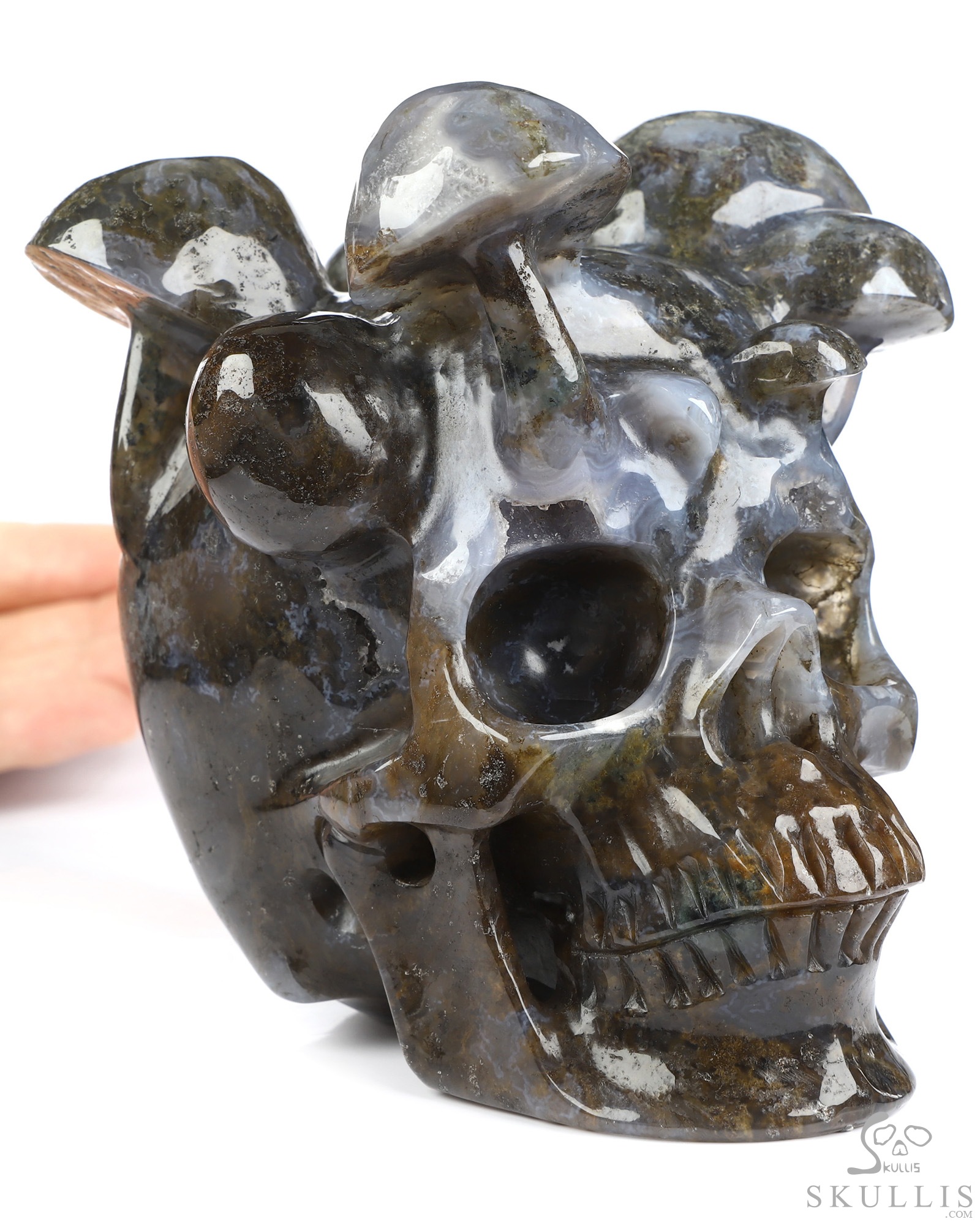 5.2" Green Moss Agate Hand Carved Mushroom Crystal Skull Sculpture, Crystal Healing 5.2" Green Moss Agate Hand Carved Mushroom Crystal Skull Sculpture, Crystal Healing