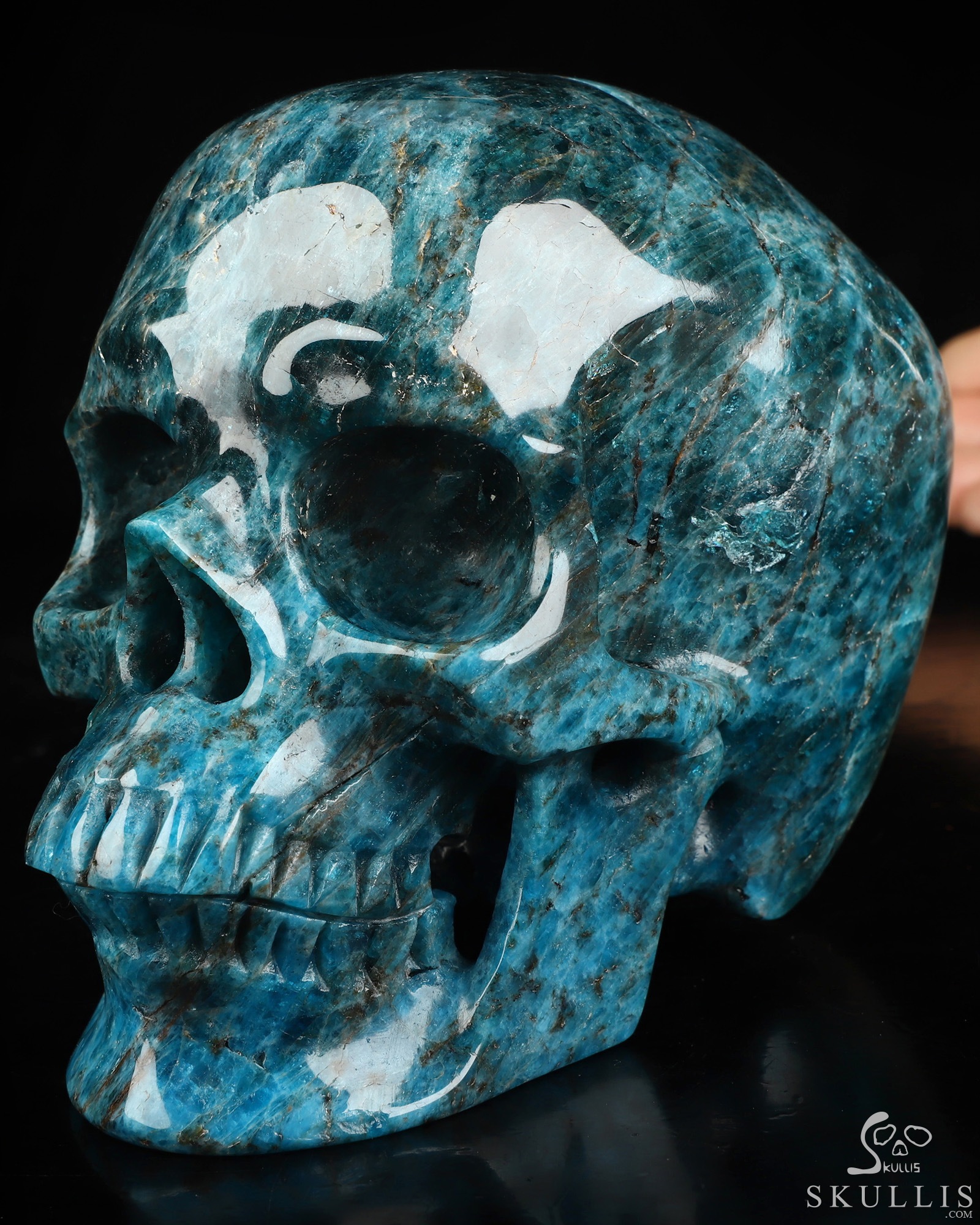 Lifesized 5.9" Blue Apatite Hand Carved Crystal Skull, Super Realistic, Crystal Healing Lifesized 5.9" Blue Apatite Hand Carved Crystal Skull, Super Realistic, Crystal Healing