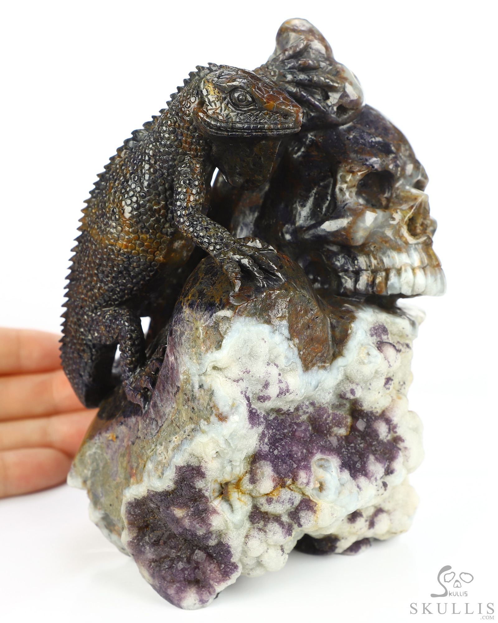 Aug 1, 2026 ACSAD (A Crystal Skull a Day) - Watcher of the Deep - 5.3" Carved Fluorite Lizard And Crystal Skull Fine Art Sculpture, Crystal Healing Aug 1, 2026 ACSAD (A Crystal Skull a Day) - Watcher of the Deep - 5.3" Carved Fluorite Lizard And Crystal Skull Fine Art Sculpture, Crystal Healing