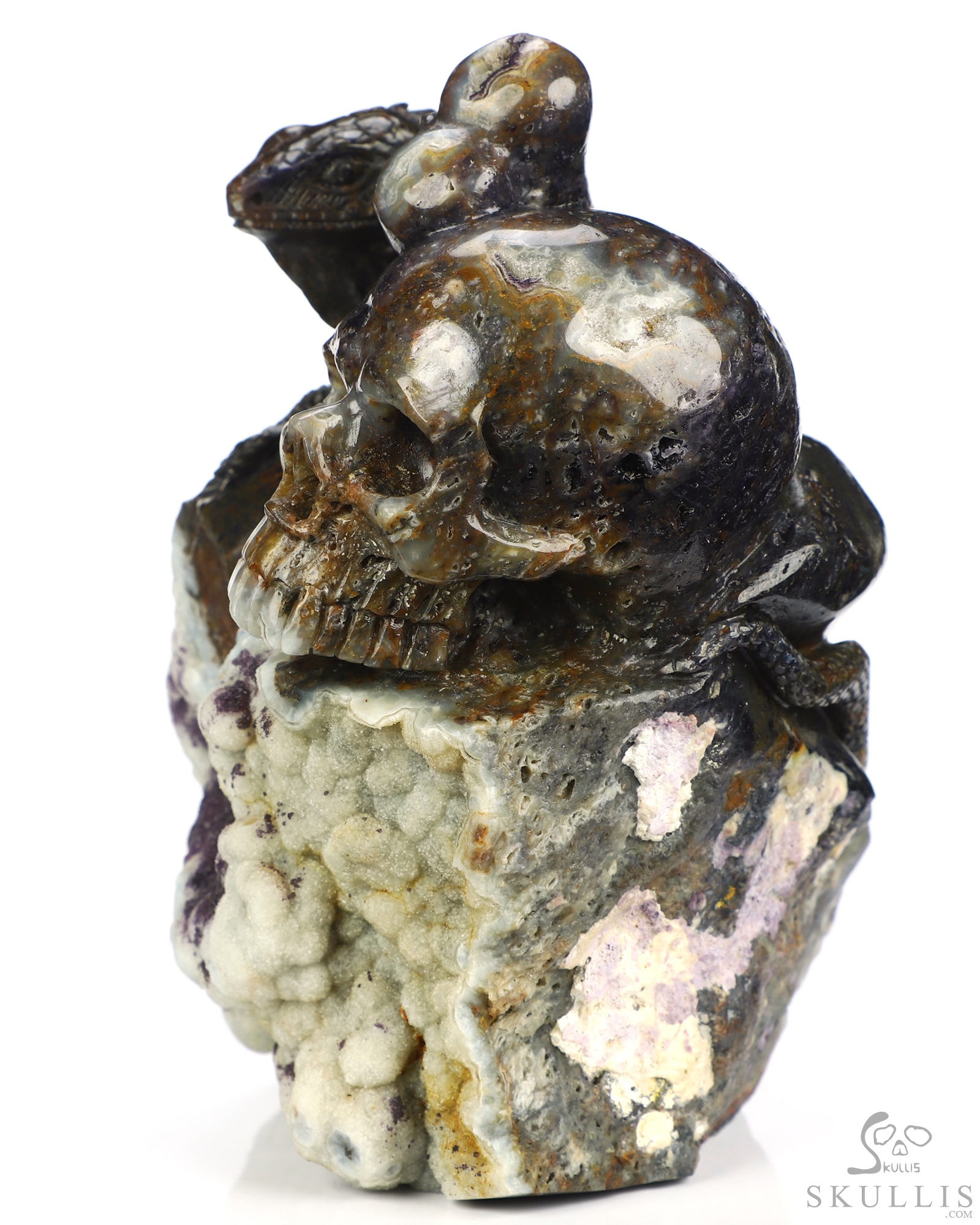 Aug 1, 2026 ACSAD (A Crystal Skull a Day) - Watcher of the Deep - 5.3" Carved Fluorite Lizard And Crystal Skull Fine Art Sculpture, Crystal Healing Aug 1, 2026 ACSAD (A Crystal Skull a Day) - Watcher of the Deep - 5.3" Carved Fluorite Lizard And Crystal Skull Fine Art Sculpture, Crystal Healing