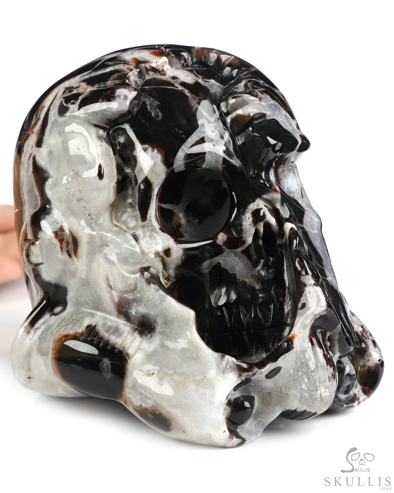 Storm Troopers - 4.9" Black Zebra Agate Hand Carved Crystal Skull Fine Art Sculpture, Crystal Healing Storm Troopers - 4.9" Black Zebra Agate Hand Carved Crystal Skull Fine Art Sculpture, Crystal Healing