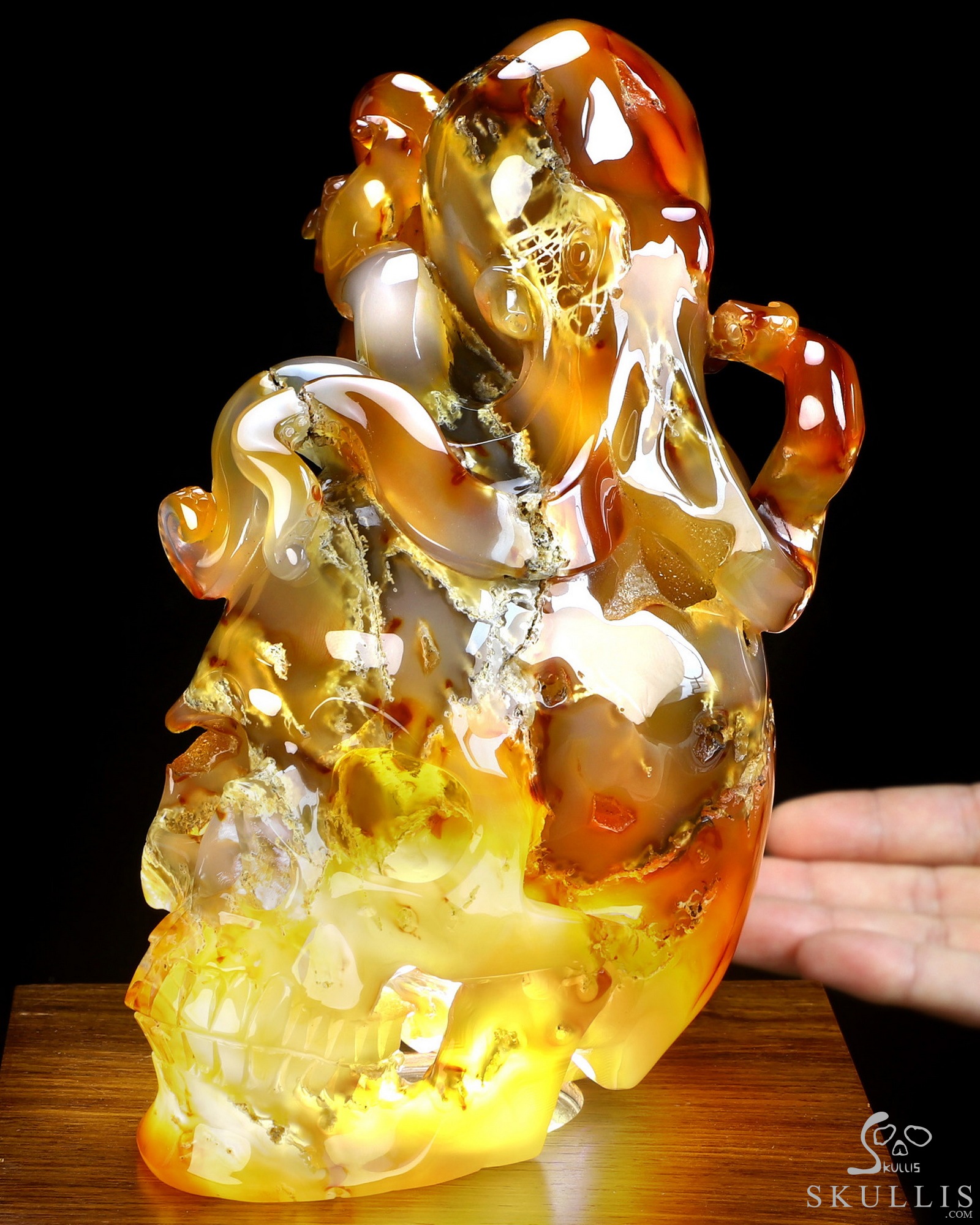 Aug 24, 2026 ACSAD (A Crystal Skull a Day) - The Deep Calls Home - 6.9" Carnelian Hand Carved Nautiloid Cthulhu Crystal Skull Sculpture, Crystal Healing Aug 24, 2026 ACSAD (A Crystal Skull a Day) - The Deep Calls Home - 6.9" Carnelian Hand Carved Nautiloid Cthulhu Crystal Skull Sculpture, Crystal Healing