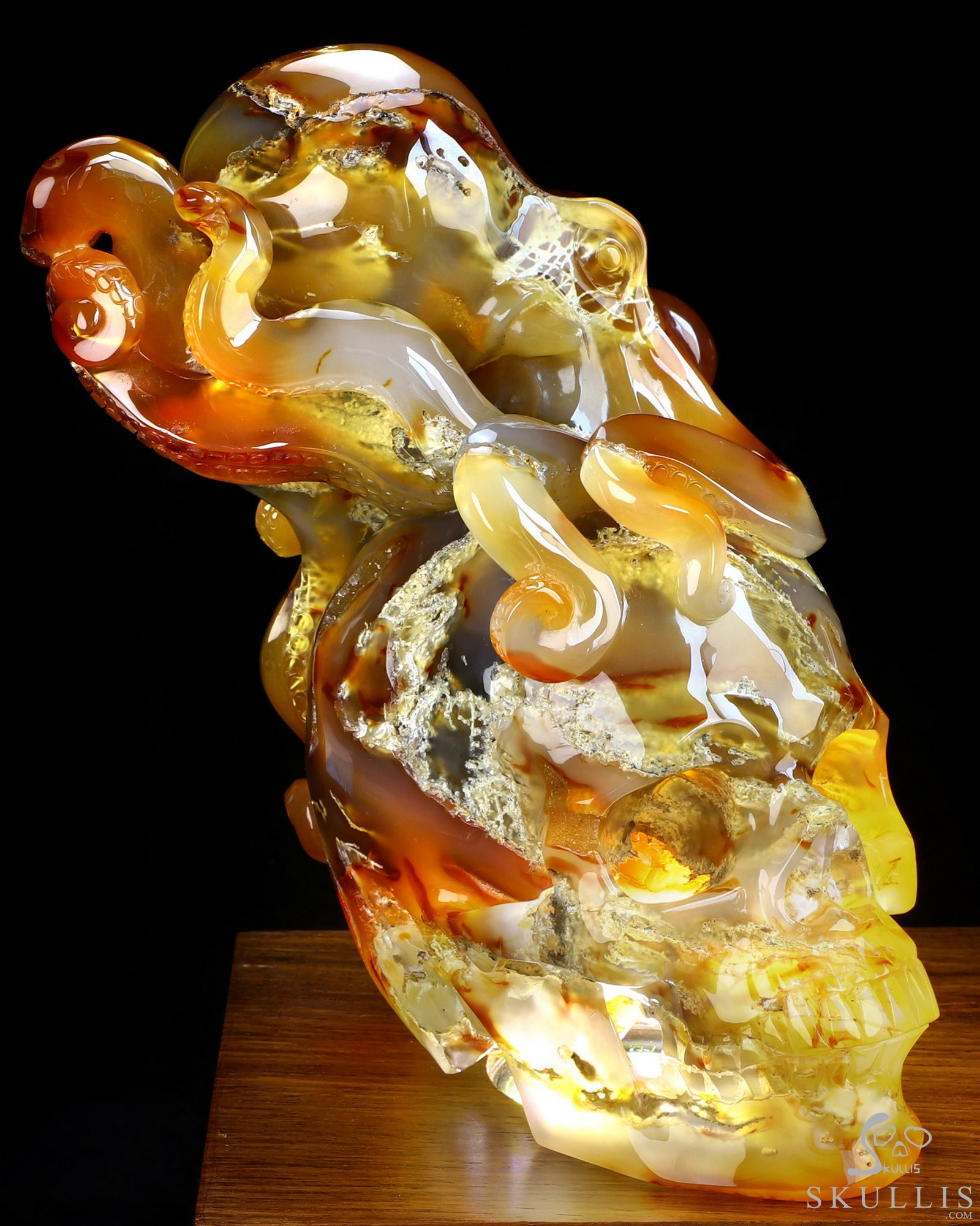 Aug 24, 2026 ACSAD (A Crystal Skull a Day) - The Deep Calls Home - 6.9" Carnelian Hand Carved Nautiloid Cthulhu Crystal Skull Sculpture, Crystal Healing Aug 24, 2026 ACSAD (A Crystal Skull a Day) - The Deep Calls Home - 6.9" Carnelian Hand Carved Nautiloid Cthulhu Crystal Skull Sculpture, Crystal Healing