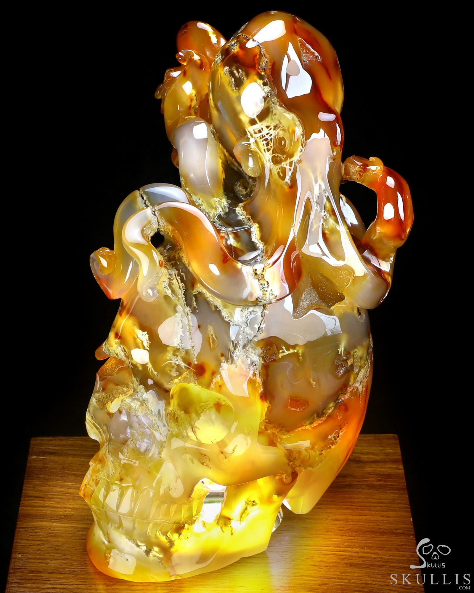 Aug 24, 2026 ACSAD (A Crystal Skull a Day) - The Deep Calls Home - 6.9" Carnelian Hand Carved Nautiloid Cthulhu Crystal Skull Sculpture, Crystal Healing Aug 24, 2026 ACSAD (A Crystal Skull a Day) - The Deep Calls Home - 6.9" Carnelian Hand Carved Nautiloid Cthulhu Crystal Skull Sculpture, Crystal Healing