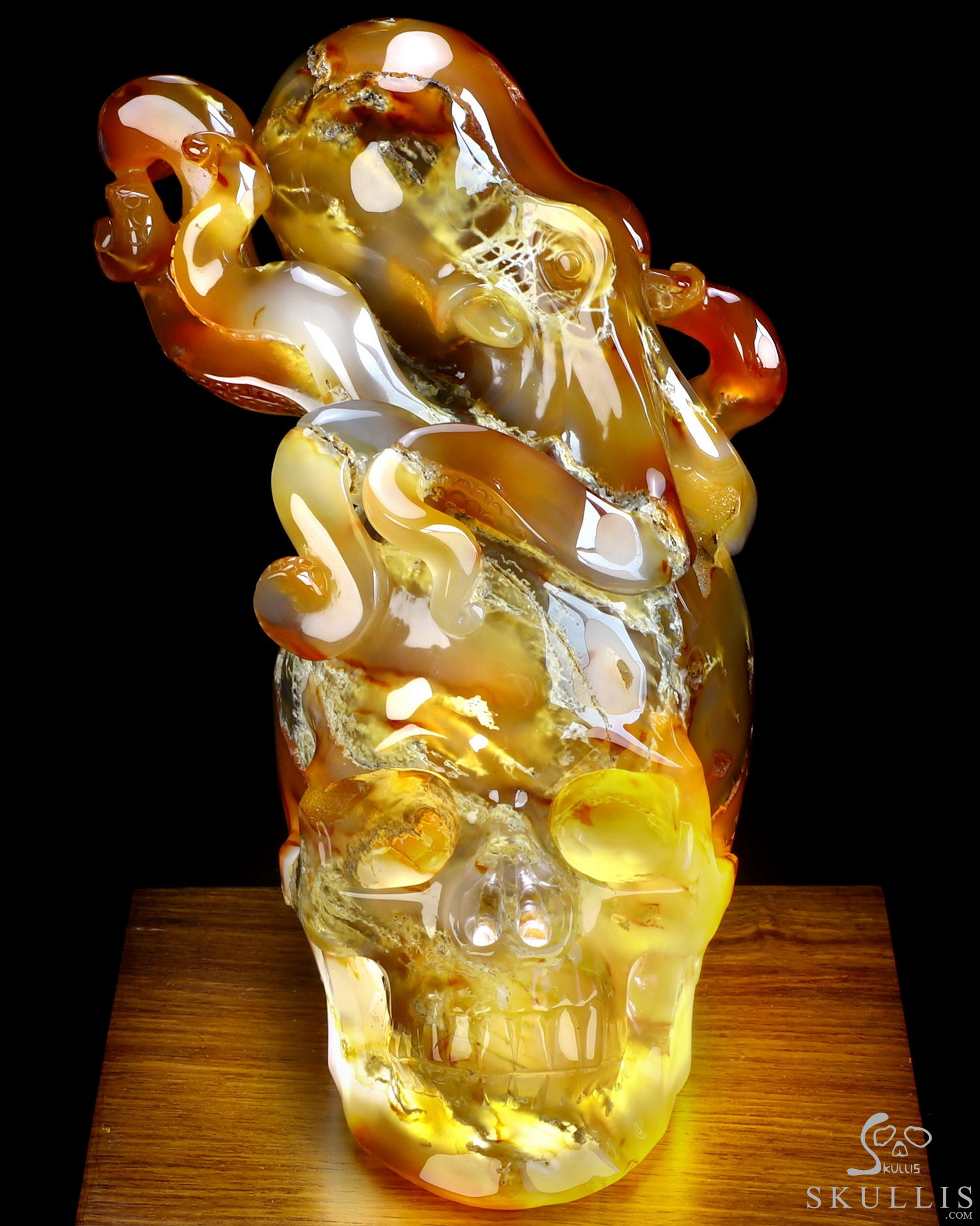 Aug 24, 2026 ACSAD (A Crystal Skull a Day) - The Deep Calls Home - 6.9" Carnelian Hand Carved Nautiloid Cthulhu Crystal Skull Sculpture, Crystal Healing Aug 24, 2026 ACSAD (A Crystal Skull a Day) - The Deep Calls Home - 6.9" Carnelian Hand Carved Nautiloid Cthulhu Crystal Skull Sculpture, Crystal Healing
