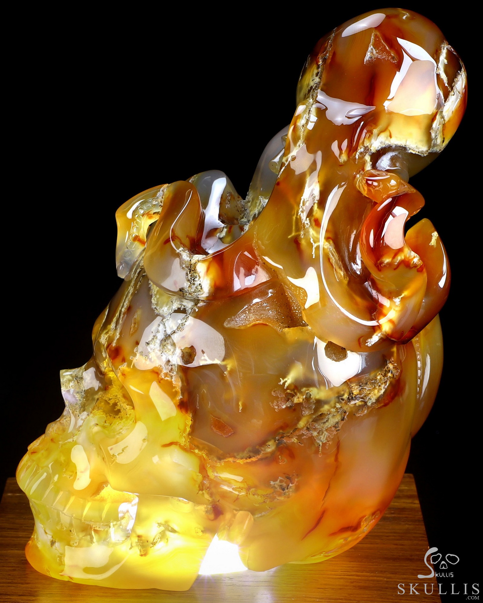 Aug 24, 2026 ACSAD (A Crystal Skull a Day) - The Deep Calls Home - 6.9" Carnelian Hand Carved Nautiloid Cthulhu Crystal Skull Sculpture, Crystal Healing Aug 24, 2026 ACSAD (A Crystal Skull a Day) - The Deep Calls Home - 6.9" Carnelian Hand Carved Nautiloid Cthulhu Crystal Skull Sculpture, Crystal Healing