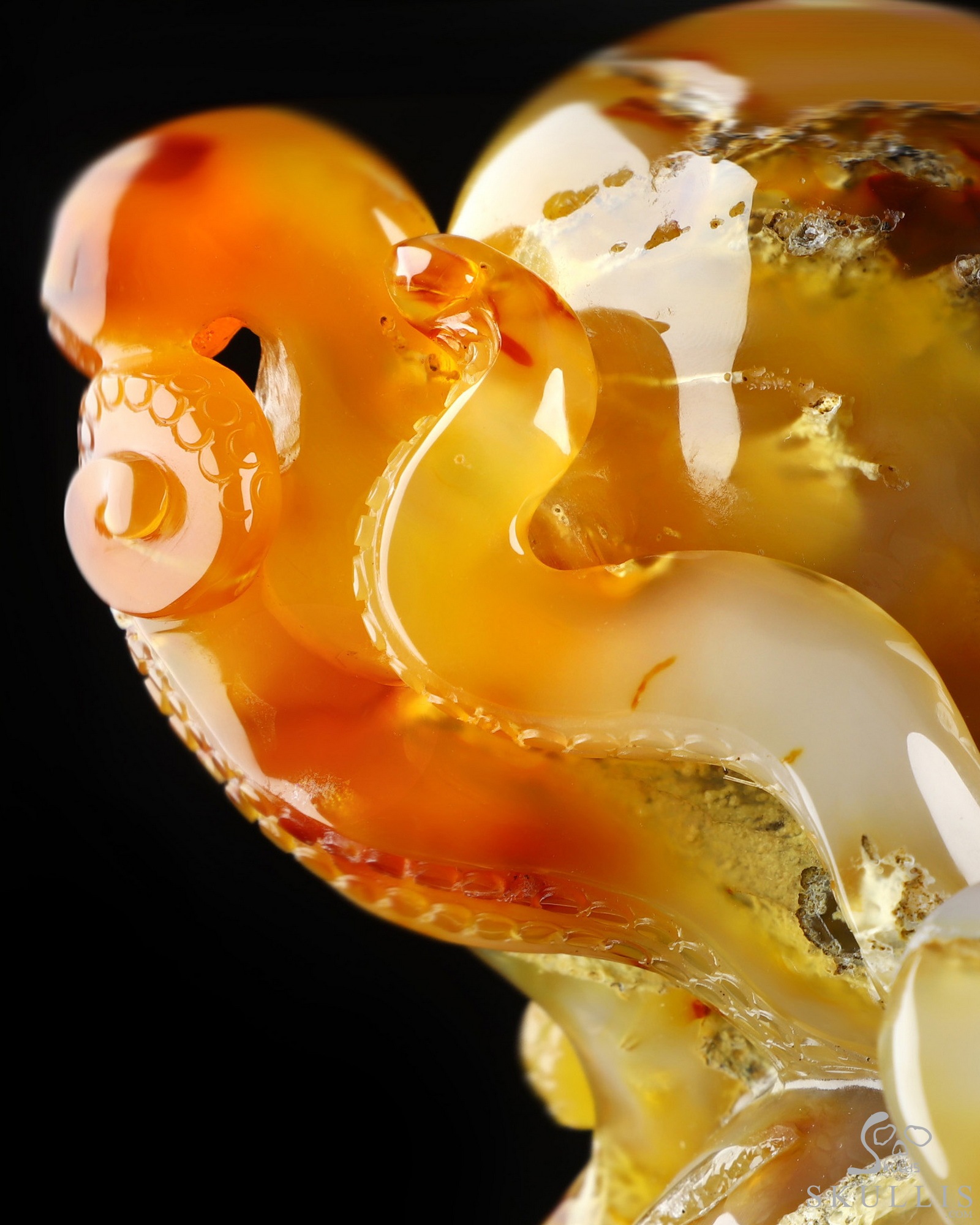 Aug 24, 2026 ACSAD (A Crystal Skull a Day) - The Deep Calls Home - 6.9" Carnelian Hand Carved Nautiloid Cthulhu Crystal Skull Sculpture, Crystal Healing Aug 24, 2026 ACSAD (A Crystal Skull a Day) - The Deep Calls Home - 6.9" Carnelian Hand Carved Nautiloid Cthulhu Crystal Skull Sculpture, Crystal Healing