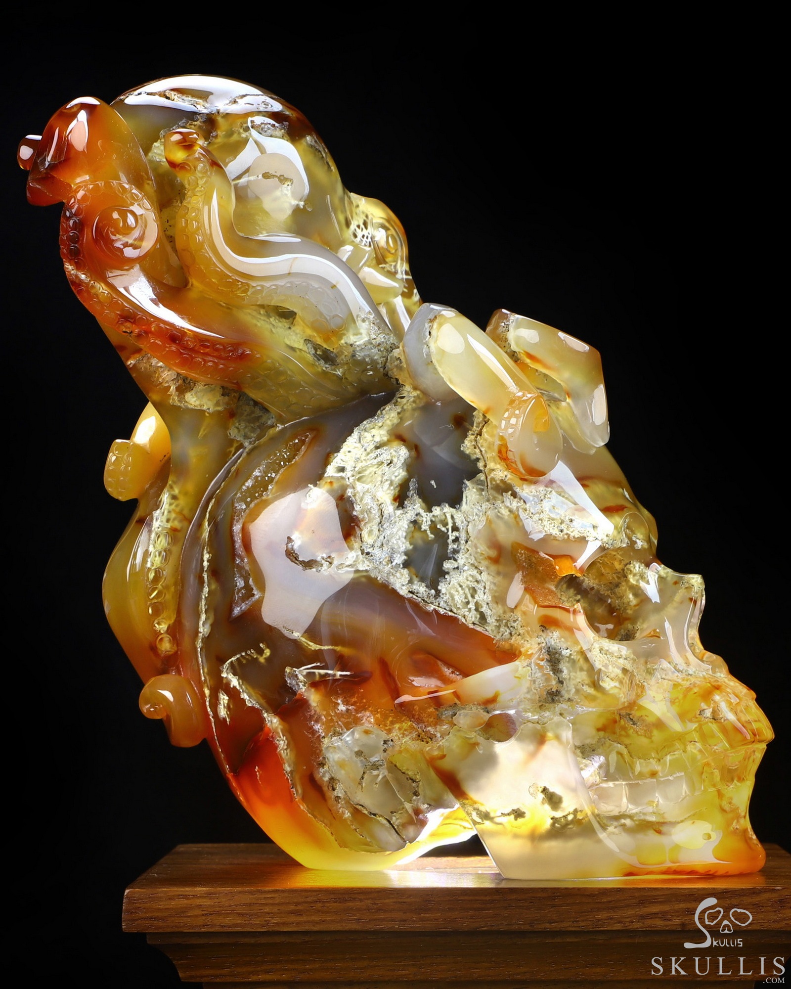 Aug 24, 2026 ACSAD (A Crystal Skull a Day) - The Deep Calls Home - 6.9" Carnelian Hand Carved Nautiloid Cthulhu Crystal Skull Sculpture, Crystal Healing Aug 24, 2026 ACSAD (A Crystal Skull a Day) - The Deep Calls Home - 6.9" Carnelian Hand Carved Nautiloid Cthulhu Crystal Skull Sculpture, Crystal Healing