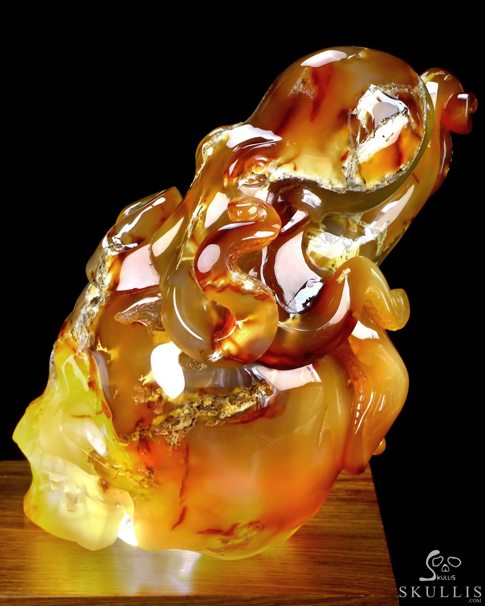 Aug 24, 2026 ACSAD (A Crystal Skull a Day) - The Deep Calls Home - 6.9" Carnelian Hand Carved Nautiloid Cthulhu Crystal Skull Sculpture, Crystal Healing Aug 24, 2026 ACSAD (A Crystal Skull a Day) - The Deep Calls Home - 6.9" Carnelian Hand Carved Nautiloid Cthulhu Crystal Skull Sculpture, Crystal Healing