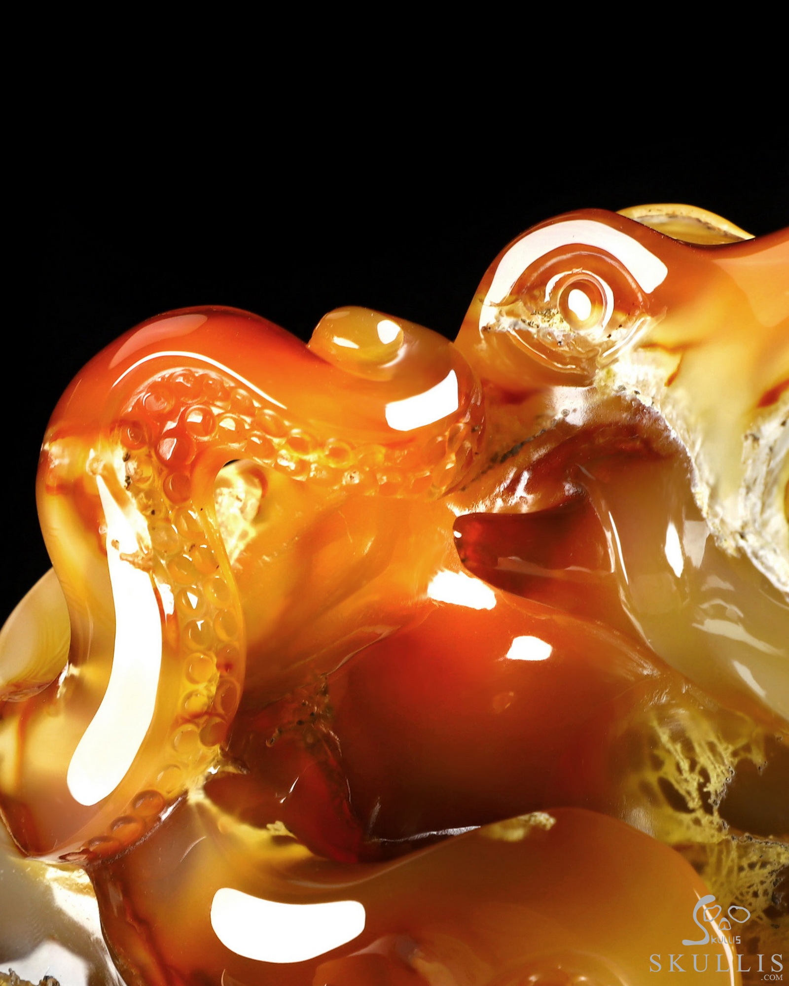 Aug 24, 2026 ACSAD (A Crystal Skull a Day) - The Deep Calls Home - 6.9" Carnelian Hand Carved Nautiloid Cthulhu Crystal Skull Sculpture, Crystal Healing Aug 24, 2026 ACSAD (A Crystal Skull a Day) - The Deep Calls Home - 6.9" Carnelian Hand Carved Nautiloid Cthulhu Crystal Skull Sculpture, Crystal Healing