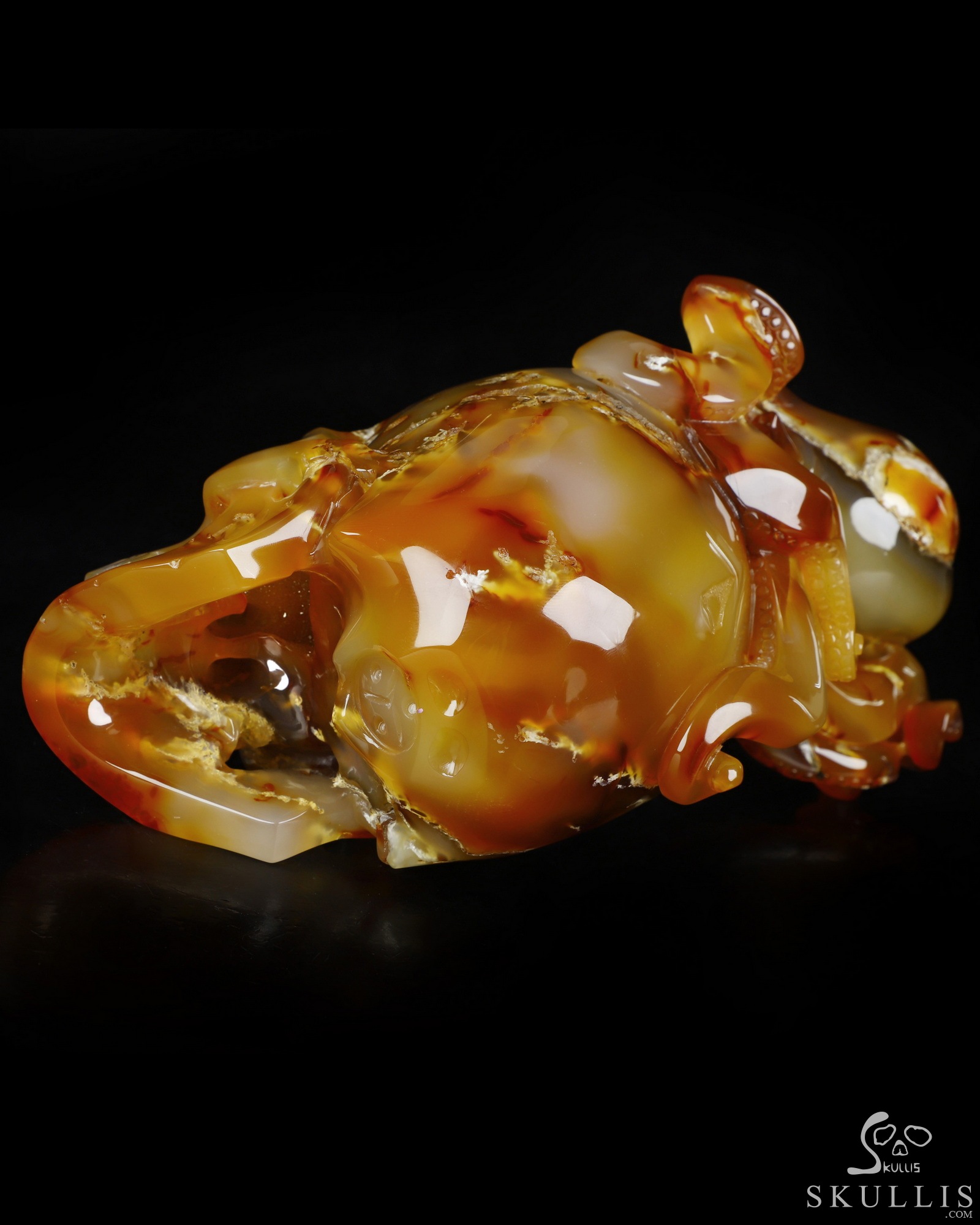Aug 24, 2026 ACSAD (A Crystal Skull a Day) - The Deep Calls Home - 6.9" Carnelian Hand Carved Nautiloid Cthulhu Crystal Skull Sculpture, Crystal Healing Aug 24, 2026 ACSAD (A Crystal Skull a Day) - The Deep Calls Home - 6.9" Carnelian Hand Carved Nautiloid Cthulhu Crystal Skull Sculpture, Crystal Healing