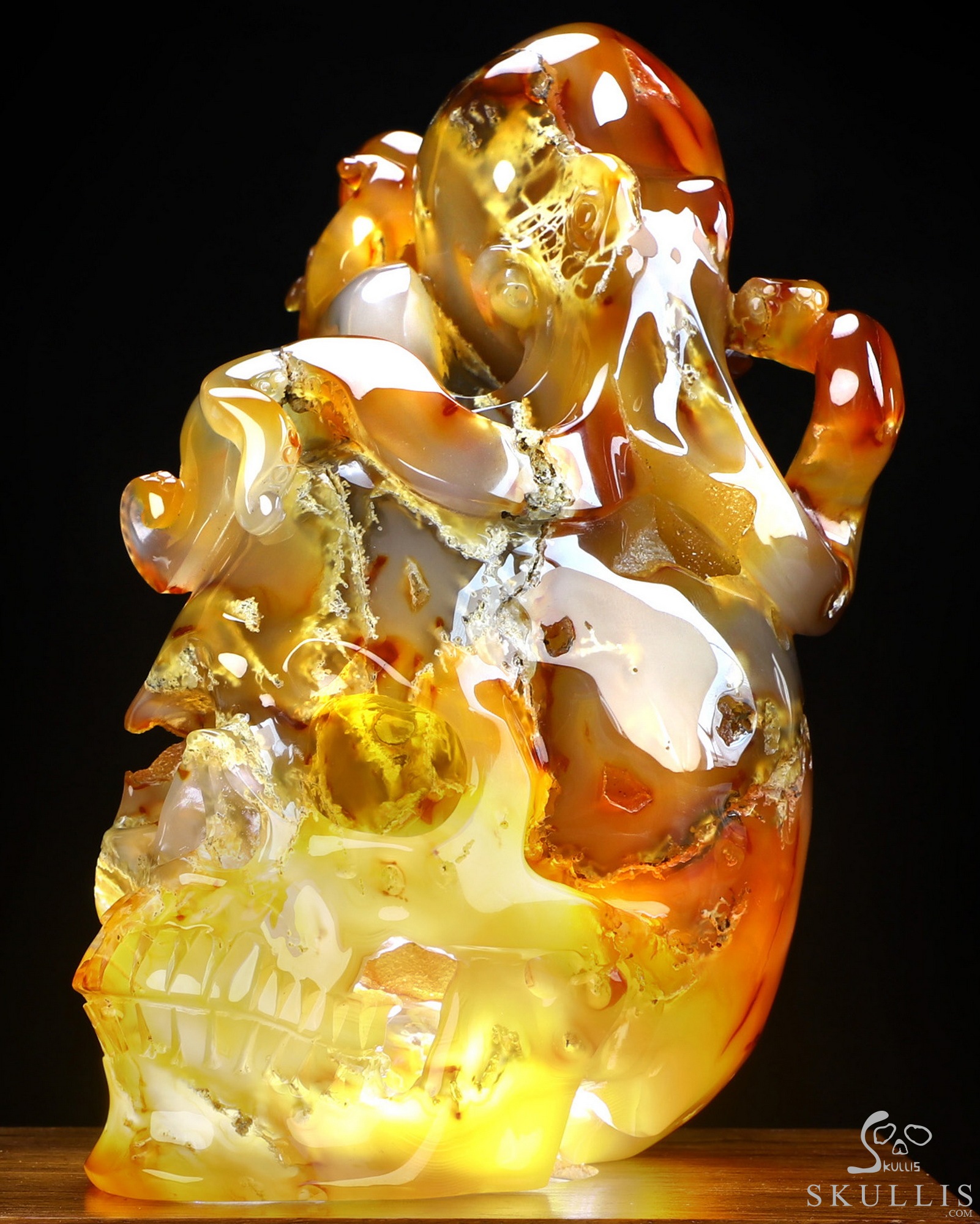 Aug 24, 2026 ACSAD (A Crystal Skull a Day) - The Deep Calls Home - 6.9" Carnelian Hand Carved Nautiloid Cthulhu Crystal Skull Sculpture, Crystal Healing Aug 24, 2026 ACSAD (A Crystal Skull a Day) - The Deep Calls Home - 6.9" Carnelian Hand Carved Nautiloid Cthulhu Crystal Skull Sculpture, Crystal Healing