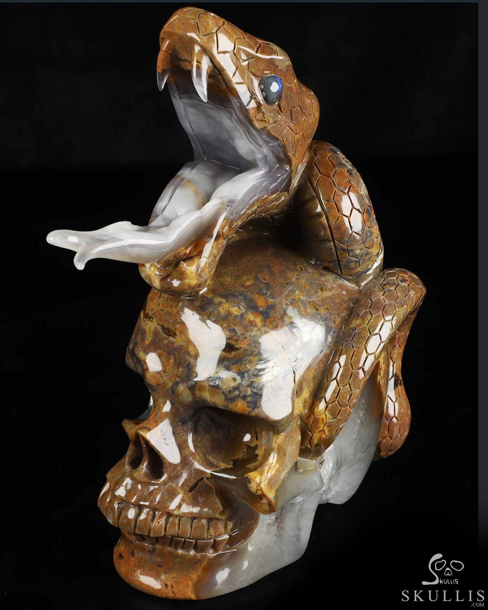 Aug 9, 2026 ACSAD (A Crystal Skull a Day) - The Guardian of Eden - 8.3" Carved Dinosaur Egg Agate Serpent & Crystal Skull Sculpture With Labradorite Eyes, Crystal Healing Aug 9, 2026 ACSAD (A Crystal Skull a Day) - The Guardian of Eden - 8.3" Carved Dinosaur Egg Agate Serpent & Crystal Skull Sculpture With Labradorite Eyes, Crystal Healing