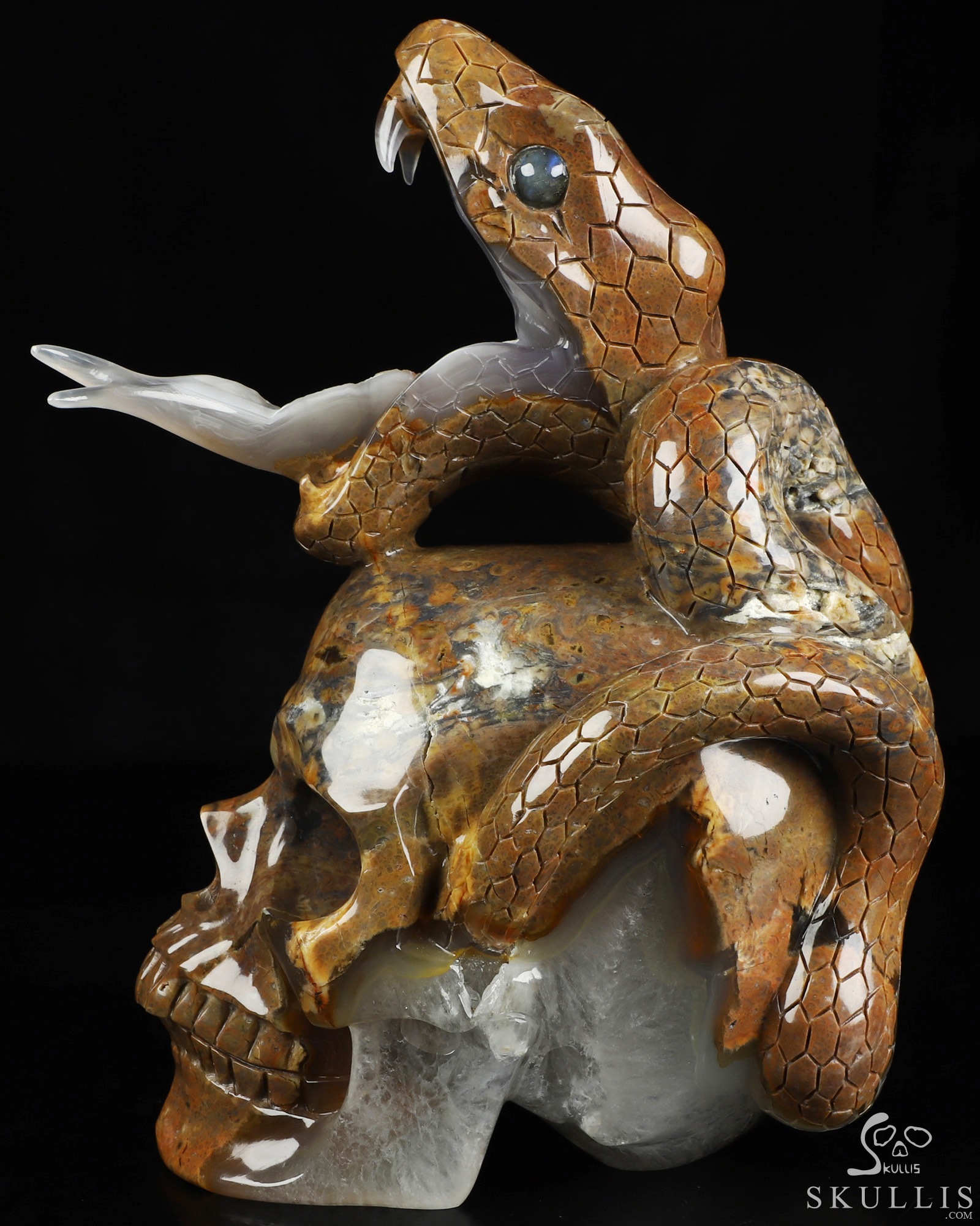Aug 9, 2026 ACSAD (A Crystal Skull a Day) - The Guardian of Eden - 8.3" Carved Dinosaur Egg Agate Serpent & Crystal Skull Sculpture With Labradorite Eyes, Crystal Healing Aug 9, 2026 ACSAD (A Crystal Skull a Day) - The Guardian of Eden - 8.3" Carved Dinosaur Egg Agate Serpent & Crystal Skull Sculpture With Labradorite Eyes, Crystal Healing