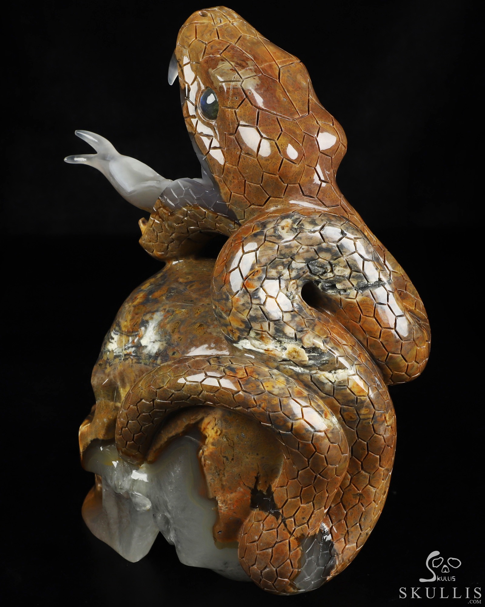Aug 9, 2026 ACSAD (A Crystal Skull a Day) - The Guardian of Eden - 8.3" Carved Dinosaur Egg Agate Serpent & Crystal Skull Sculpture With Labradorite Eyes, Crystal Healing Aug 9, 2026 ACSAD (A Crystal Skull a Day) - The Guardian of Eden - 8.3" Carved Dinosaur Egg Agate Serpent & Crystal Skull Sculpture With Labradorite Eyes, Crystal Healing