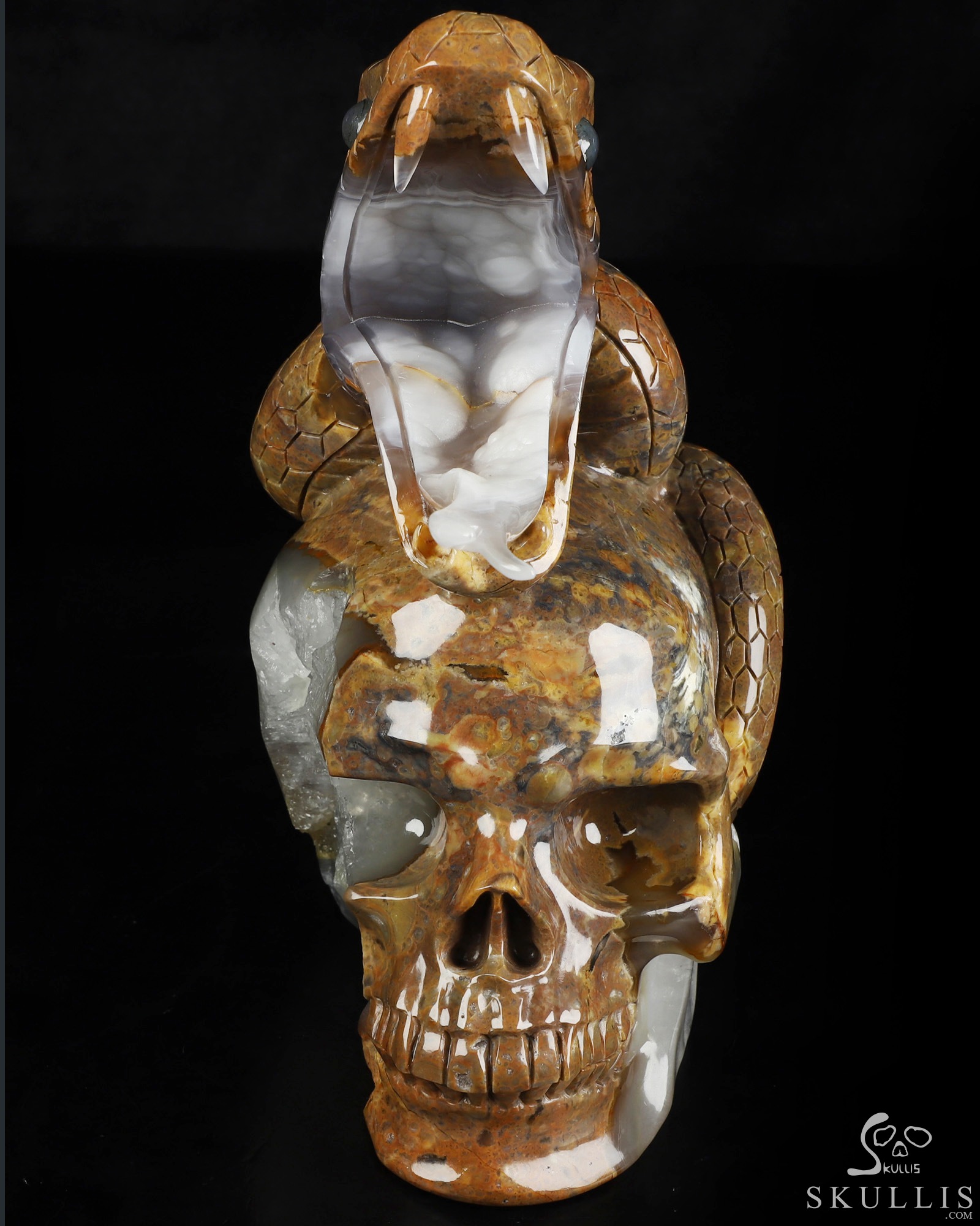 Aug 9, 2026 ACSAD (A Crystal Skull a Day) - The Guardian of Eden - 8.3" Carved Dinosaur Egg Agate Serpent & Crystal Skull Sculpture With Labradorite Eyes, Crystal Healing Aug 9, 2026 ACSAD (A Crystal Skull a Day) - The Guardian of Eden - 8.3" Carved Dinosaur Egg Agate Serpent & Crystal Skull Sculpture With Labradorite Eyes, Crystal Healing
