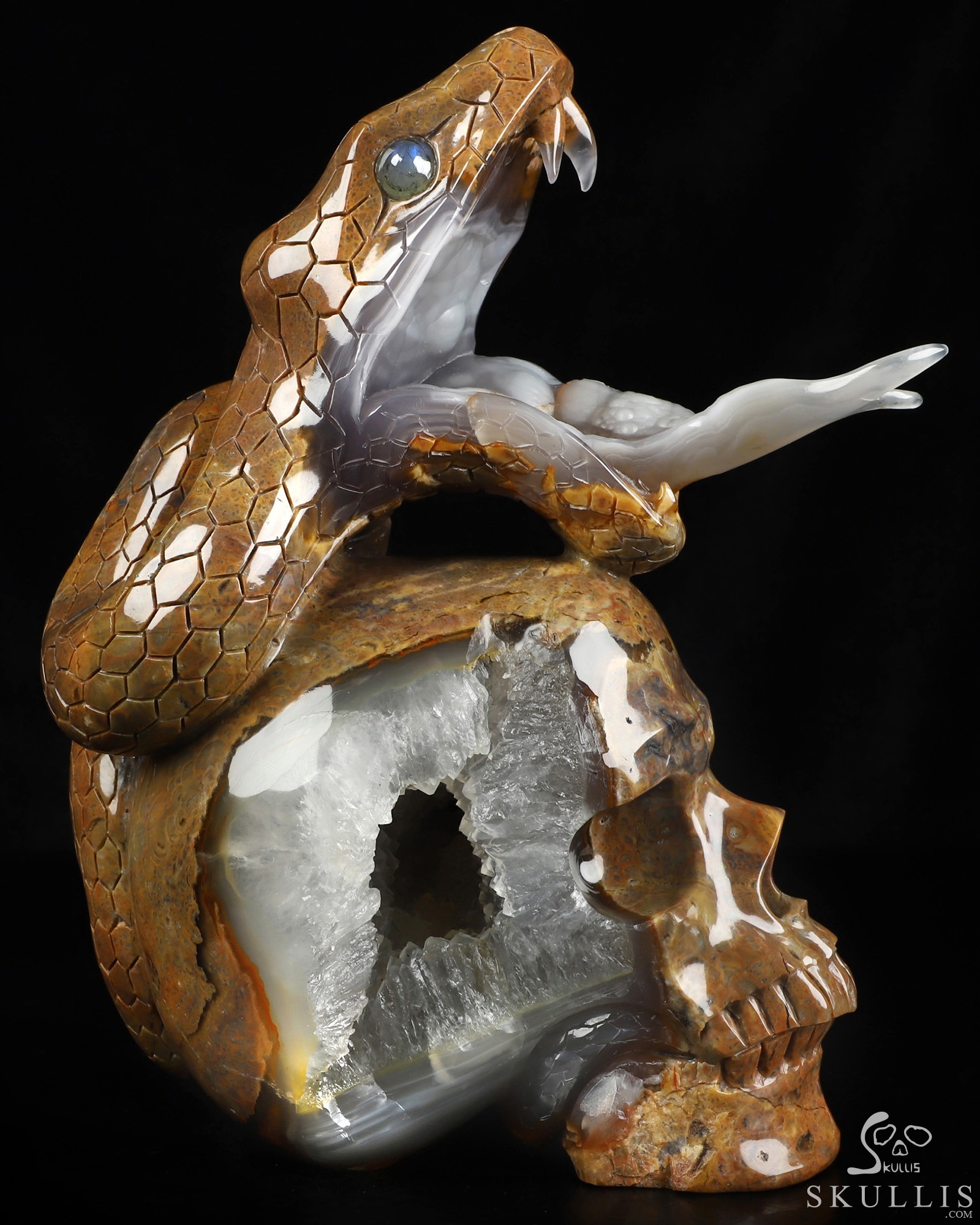 Aug 9, 2026 ACSAD (A Crystal Skull a Day) - The Guardian of Eden - 8.3" Carved Dinosaur Egg Agate Serpent & Crystal Skull Sculpture With Labradorite Eyes, Crystal Healing Aug 9, 2026 ACSAD (A Crystal Skull a Day) - The Guardian of Eden - 8.3" Carved Dinosaur Egg Agate Serpent & Crystal Skull Sculpture With Labradorite Eyes, Crystal Healing