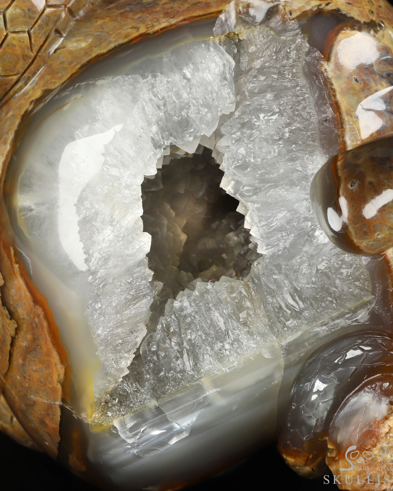 Aug 9, 2026 ACSAD (A Crystal Skull a Day) - The Guardian of Eden - 8.3" Carved Dinosaur Egg Agate Serpent & Crystal Skull Sculpture With Labradorite Eyes, Crystal Healing Aug 9, 2026 ACSAD (A Crystal Skull a Day) - The Guardian of Eden - 8.3" Carved Dinosaur Egg Agate Serpent & Crystal Skull Sculpture With Labradorite Eyes, Crystal Healing