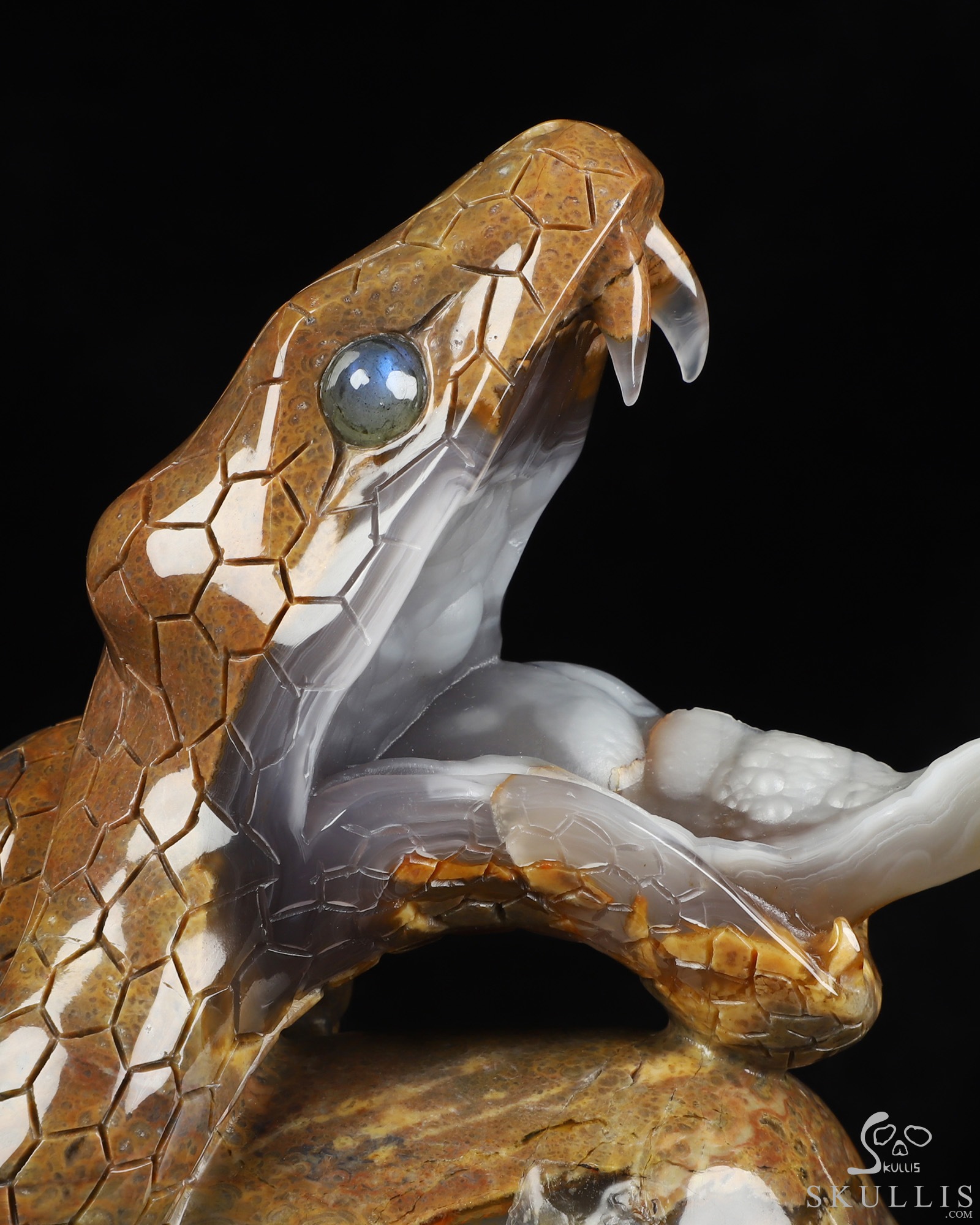 Aug 9, 2026 ACSAD (A Crystal Skull a Day) - The Guardian of Eden - 8.3" Carved Dinosaur Egg Agate Serpent & Crystal Skull Sculpture With Labradorite Eyes, Crystal Healing Aug 9, 2026 ACSAD (A Crystal Skull a Day) - The Guardian of Eden - 8.3" Carved Dinosaur Egg Agate Serpent & Crystal Skull Sculpture With Labradorite Eyes, Crystal Healing