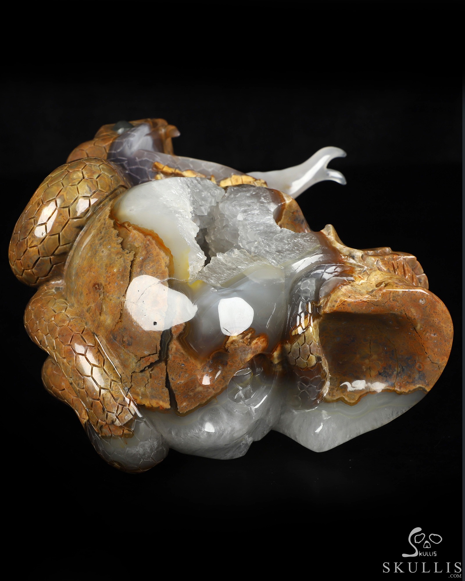 Aug 9, 2026 ACSAD (A Crystal Skull a Day) - The Guardian of Eden - 8.3" Carved Dinosaur Egg Agate Serpent & Crystal Skull Sculpture With Labradorite Eyes, Crystal Healing Aug 9, 2026 ACSAD (A Crystal Skull a Day) - The Guardian of Eden - 8.3" Carved Dinosaur Egg Agate Serpent & Crystal Skull Sculpture With Labradorite Eyes, Crystal Healing