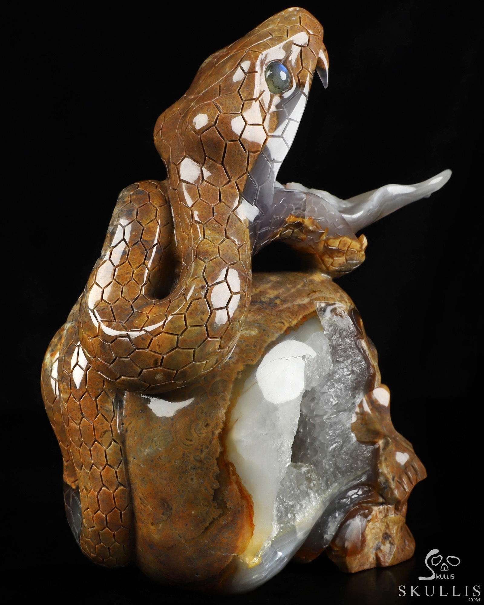 Aug 9, 2026 ACSAD (A Crystal Skull a Day) - The Guardian of Eden - 8.3" Carved Dinosaur Egg Agate Serpent & Crystal Skull Sculpture With Labradorite Eyes, Crystal Healing Aug 9, 2026 ACSAD (A Crystal Skull a Day) - The Guardian of Eden - 8.3" Carved Dinosaur Egg Agate Serpent & Crystal Skull Sculpture With Labradorite Eyes, Crystal Healing