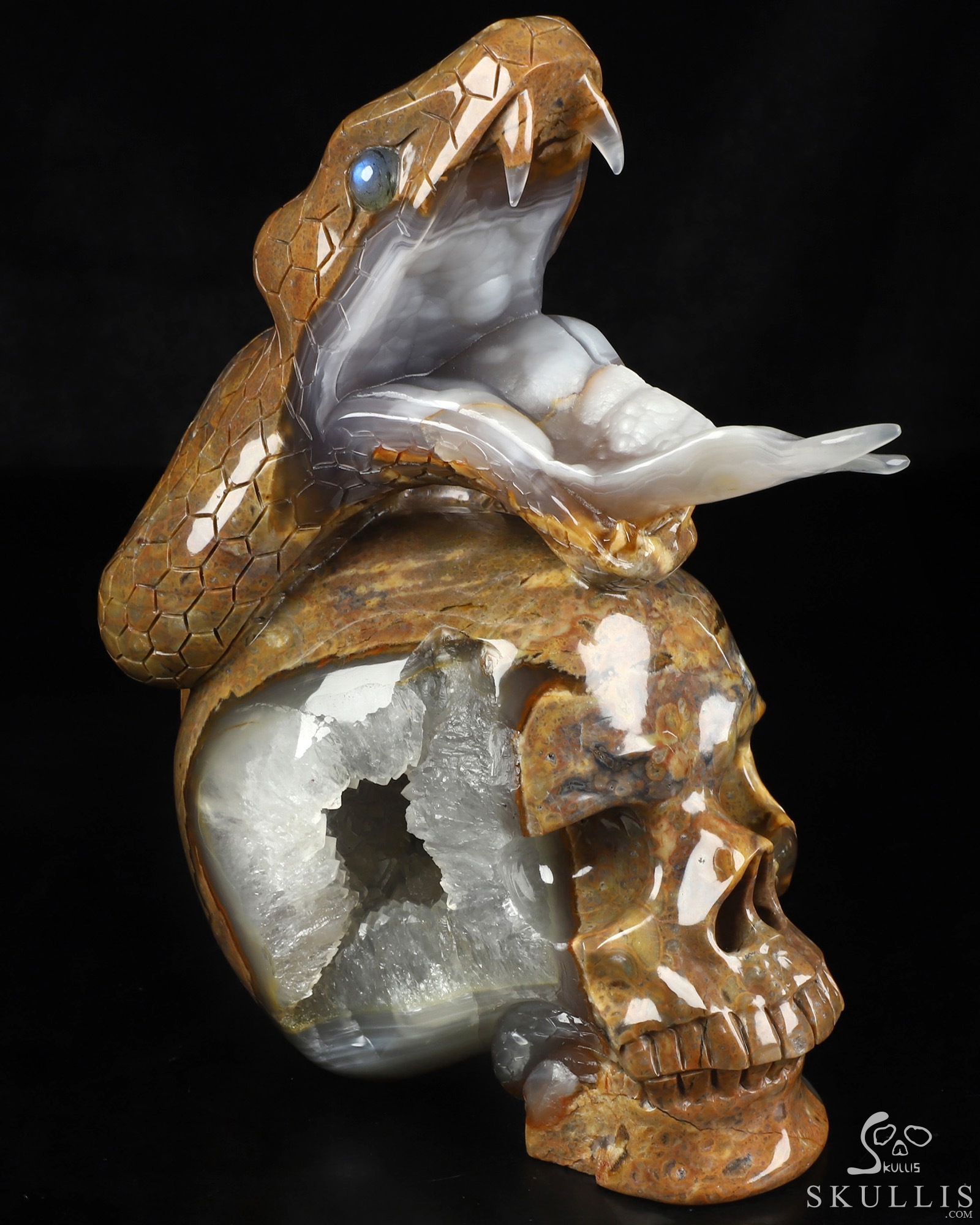 Aug 9, 2026 ACSAD (A Crystal Skull a Day) - The Guardian of Eden - 8.3" Carved Dinosaur Egg Agate Serpent & Crystal Skull Sculpture With Labradorite Eyes, Crystal Healing Aug 9, 2026 ACSAD (A Crystal Skull a Day) - The Guardian of Eden - 8.3" Carved Dinosaur Egg Agate Serpent & Crystal Skull Sculpture With Labradorite Eyes, Crystal Healing