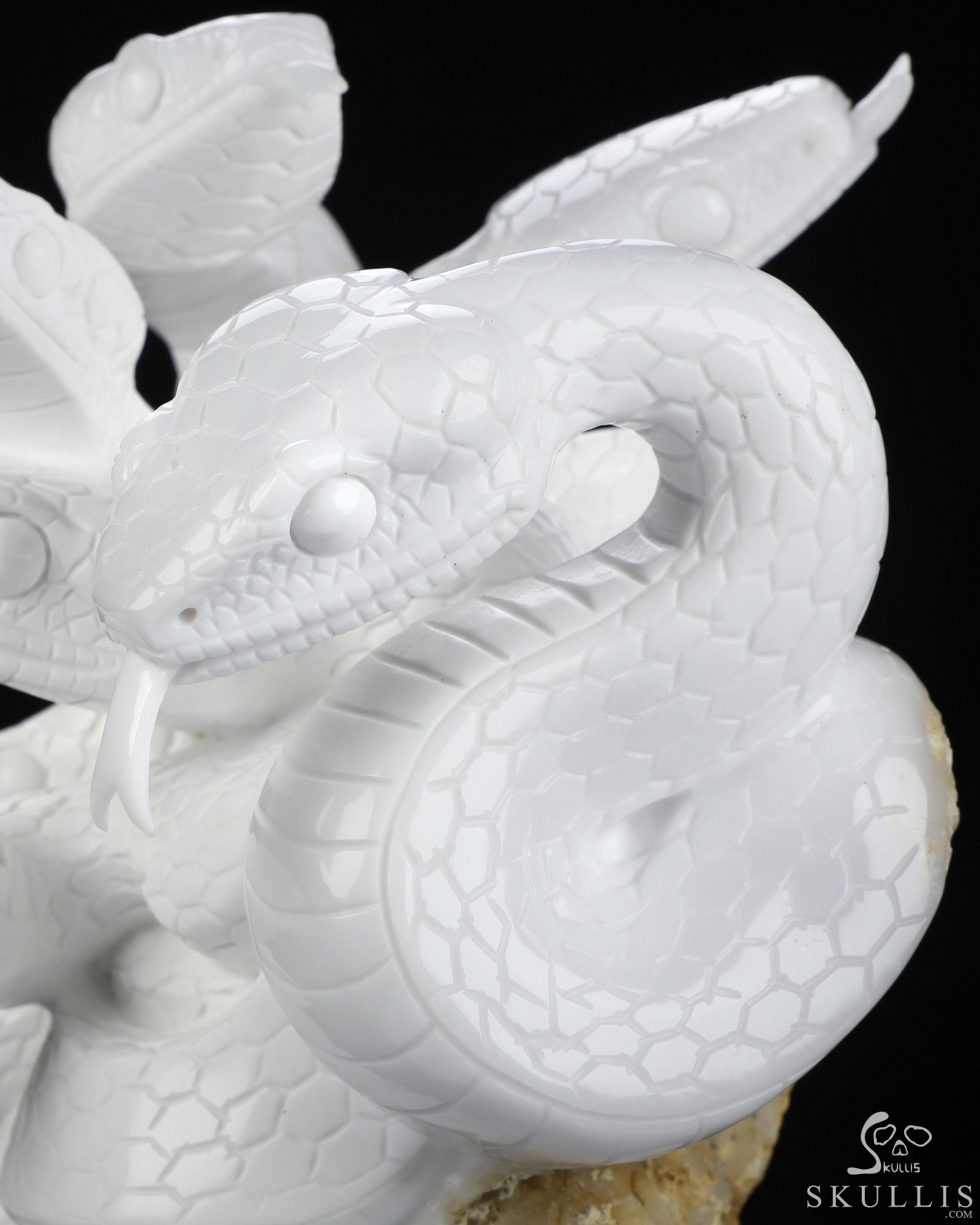 Aug 25, 2026 ACSAD (A Crystal Skull a Day) - The Unbroken Hydra - 7.4" White Jade Hand Carved Crystal Skull Sculpture With Nine Serpents, Crystal Healing Aug 25, 2026 ACSAD (A Crystal Skull a Day) - The Unbroken Hydra - 7.4" White Jade Hand Carved Crystal Skull Sculpture With Nine Serpents, Crystal Healing