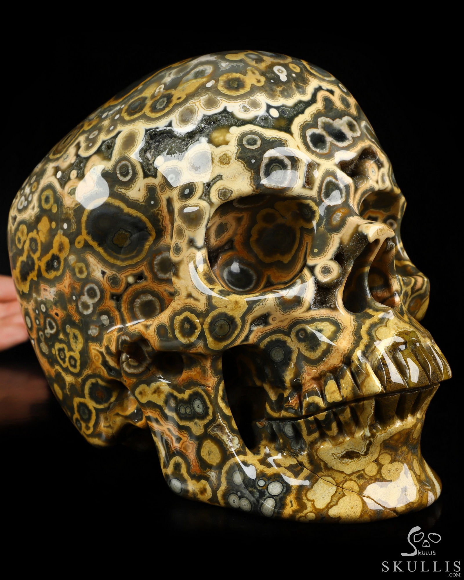 Aug 16, 2026 ACSAD (A Crystal Skull a Day) - Aeon's Ripple - Lifesized 7.5" Ocean Jasper Hand Carved Crystal Skull, Super Realistic, Crystal Healing Aug 16, 2026 ACSAD (A Crystal Skull a Day) - Aeon's Ripple - Lifesized 7.5" Ocean Jasper Hand Carved Crystal Skull, Super Realistic, Crystal Healing