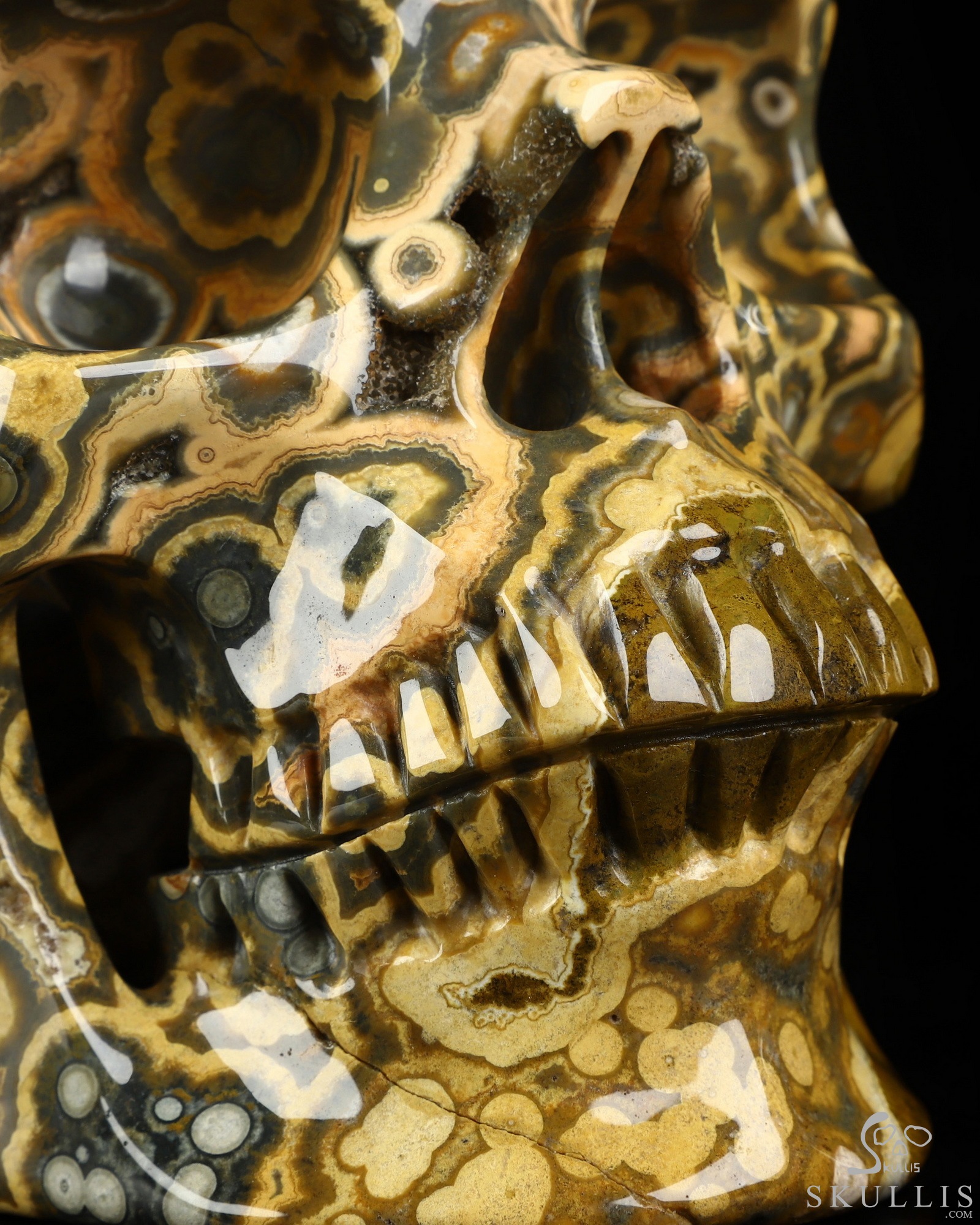 Aug 16, 2026 ACSAD (A Crystal Skull a Day) - Aeon's Ripple - Lifesized 7.5" Ocean Jasper Hand Carved Crystal Skull, Super Realistic, Crystal Healing Aug 16, 2026 ACSAD (A Crystal Skull a Day) - Aeon's Ripple - Lifesized 7.5" Ocean Jasper Hand Carved Crystal Skull, Super Realistic, Crystal Healing