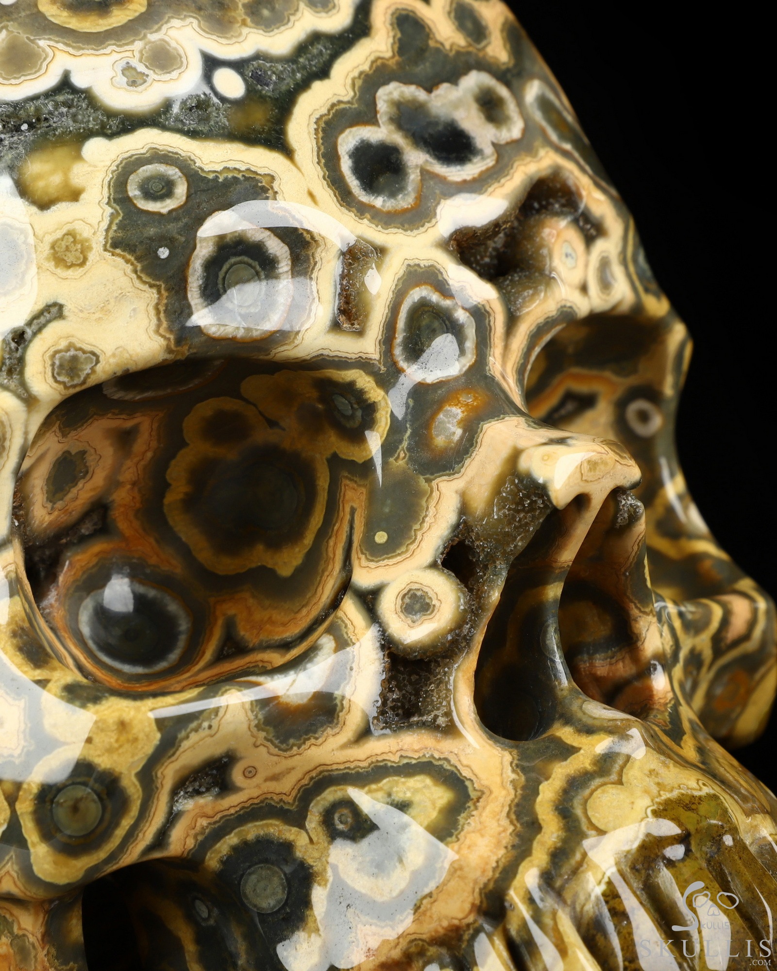 Aug 16, 2026 ACSAD (A Crystal Skull a Day) - Aeon's Ripple - Lifesized 7.5" Ocean Jasper Hand Carved Crystal Skull, Super Realistic, Crystal Healing Aug 16, 2026 ACSAD (A Crystal Skull a Day) - Aeon's Ripple - Lifesized 7.5" Ocean Jasper Hand Carved Crystal Skull, Super Realistic, Crystal Healing