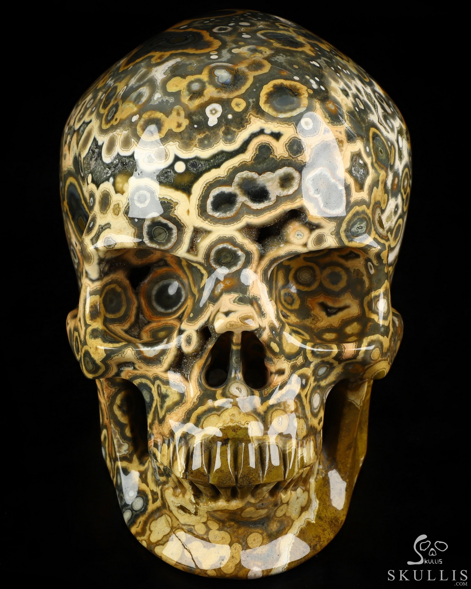 Aug 16, 2026 ACSAD (A Crystal Skull a Day) - Aeon's Ripple - Lifesized 7.5" Ocean Jasper Hand Carved Crystal Skull, Super Realistic, Crystal Healing Aug 16, 2026 ACSAD (A Crystal Skull a Day) - Aeon's Ripple - Lifesized 7.5" Ocean Jasper Hand Carved Crystal Skull, Super Realistic, Crystal Healing